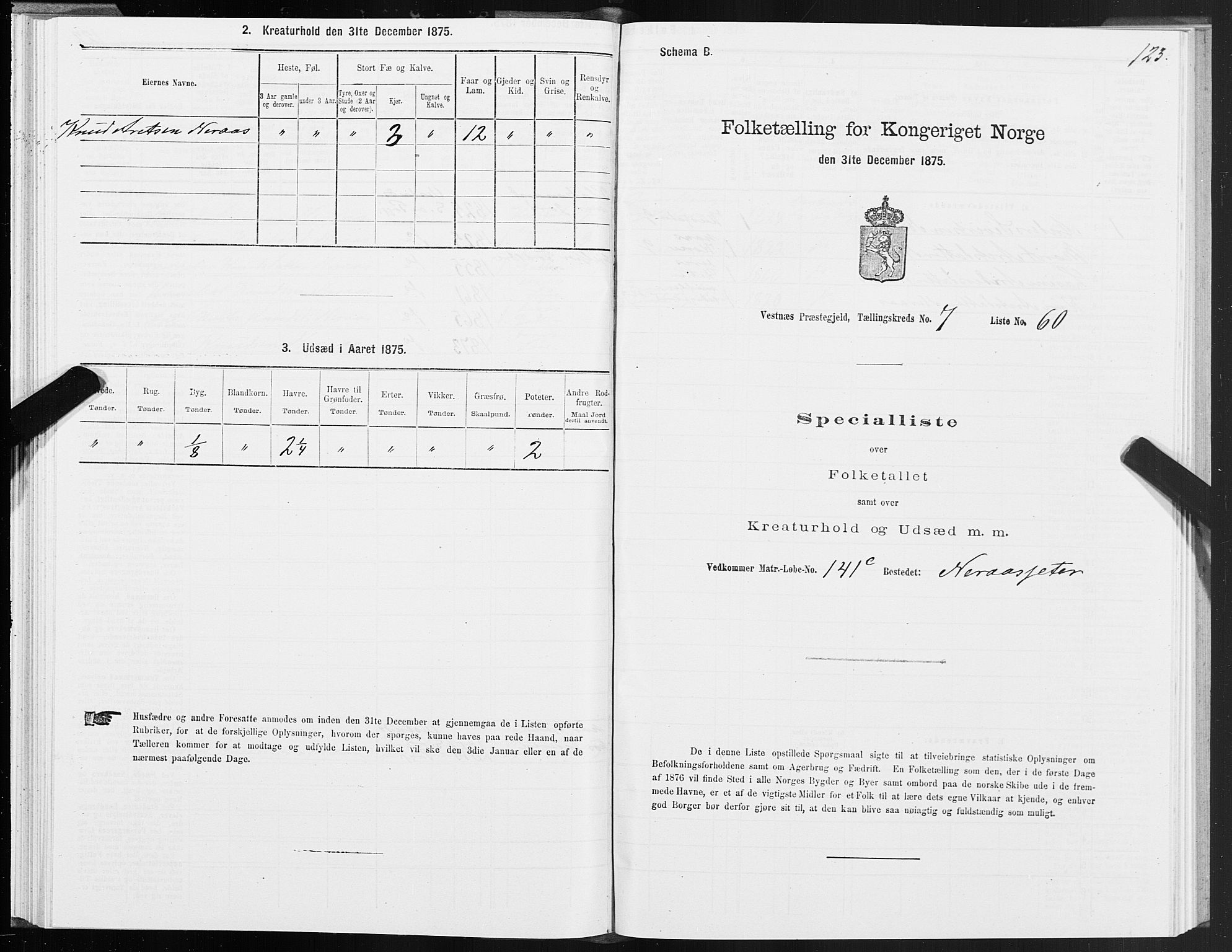 SAT, Folketelling 1875 for 1535P Vestnes prestegjeld, 1875, s. 3123