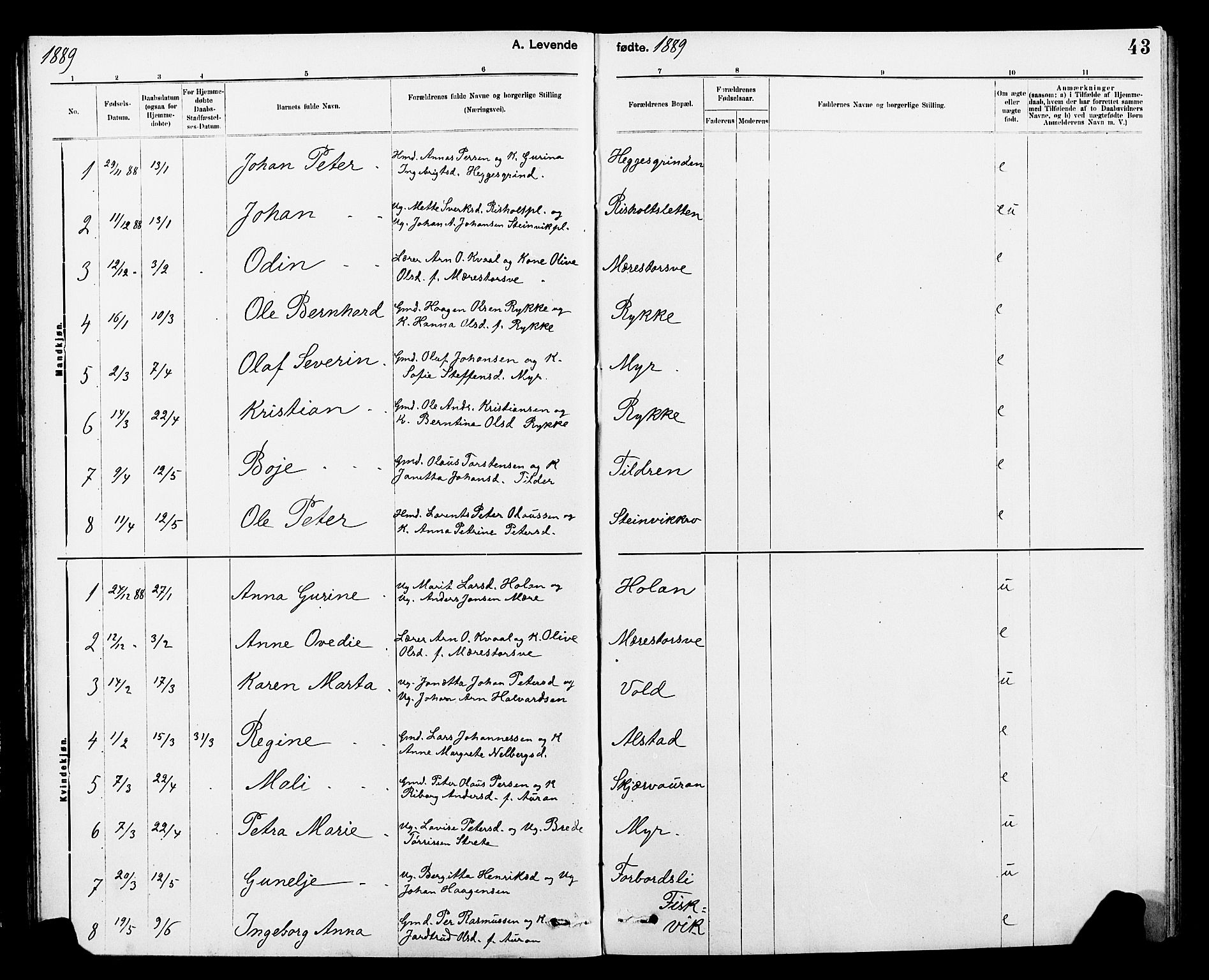 Ministerialprotokoller, klokkerbøker og fødselsregistre - Nord-Trøndelag, AV/SAT-A-1458/712/L0103: Klokkerbok nr. 712C01, 1878-1917, s. 43