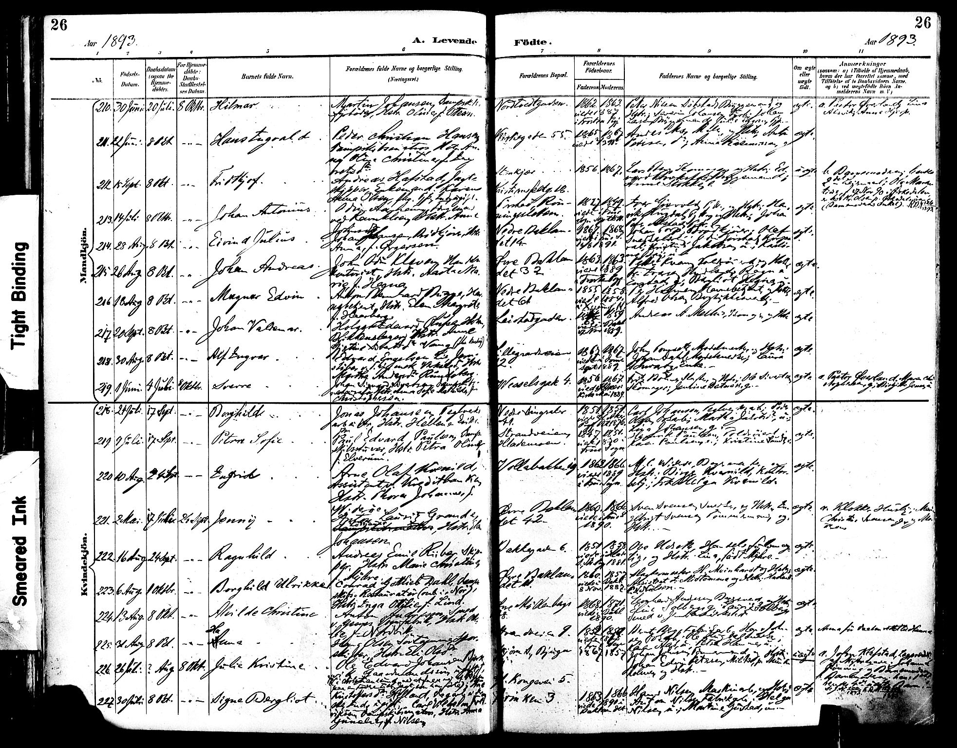 Ministerialprotokoller, klokkerbøker og fødselsregistre - Sør-Trøndelag, SAT/A-1456/604/L0197: Ministerialbok nr. 604A18, 1893-1900, s. 26