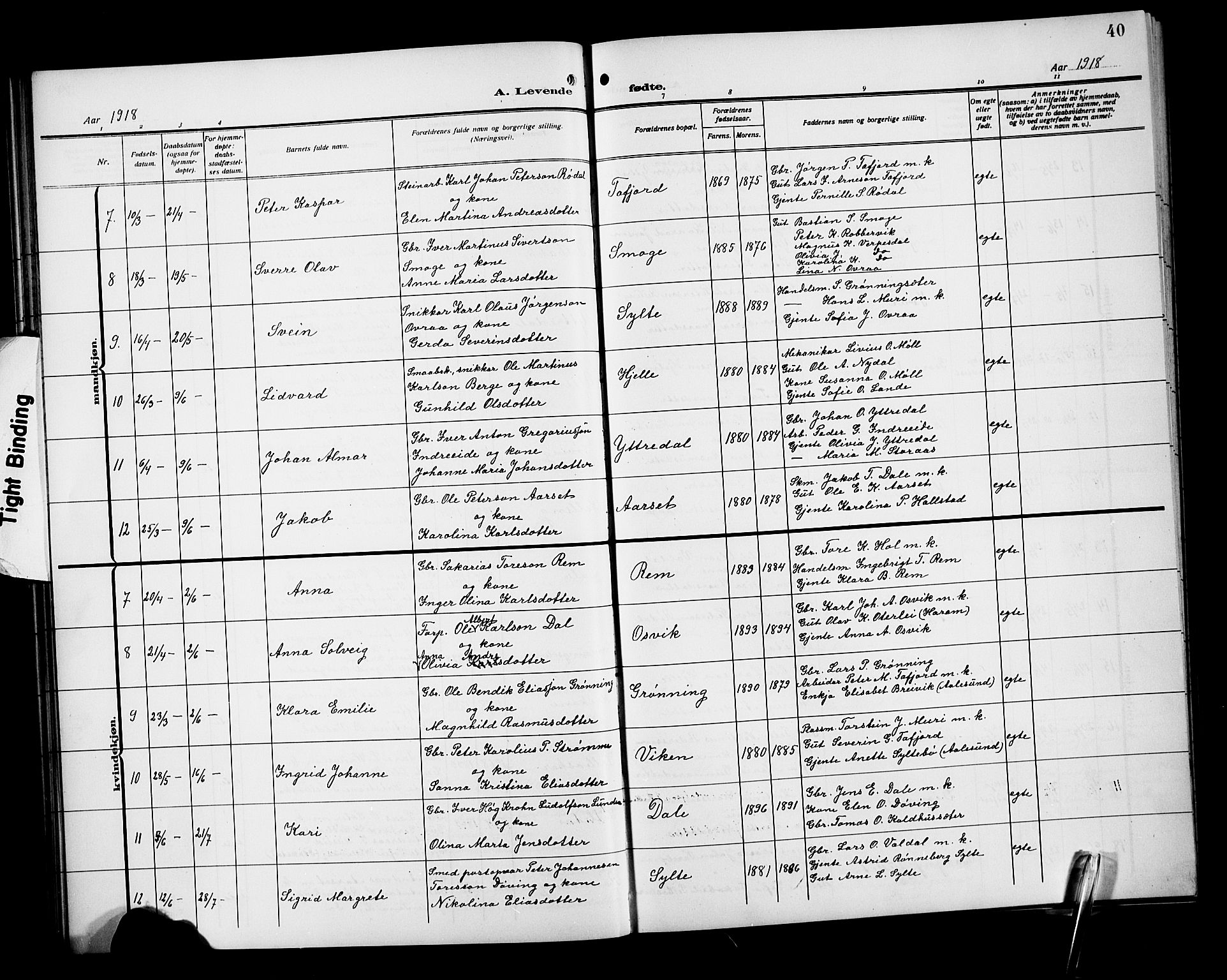 Ministerialprotokoller, klokkerbøker og fødselsregistre - Møre og Romsdal, SAT/A-1454/519/L0265: Klokkerbok nr. 519C06, 1911-1921, s. 40
