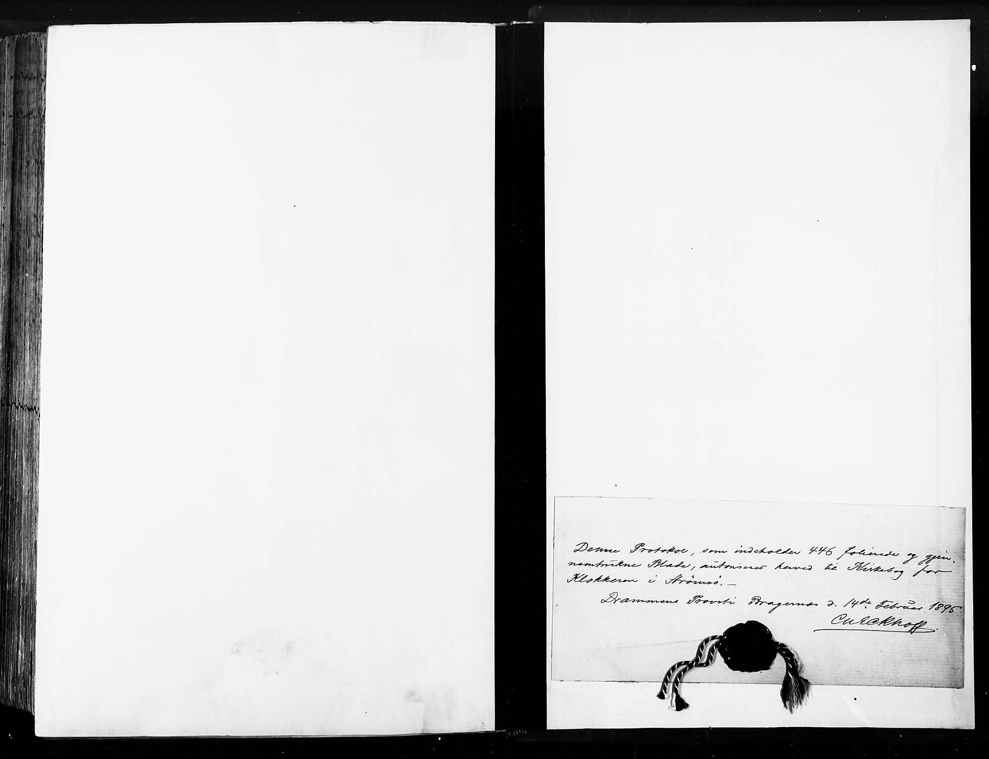 Strømsø kirkebøker, AV/SAKO-A-246/G/Ga/L0003: Klokkerbok nr. 3, 1894-1904
