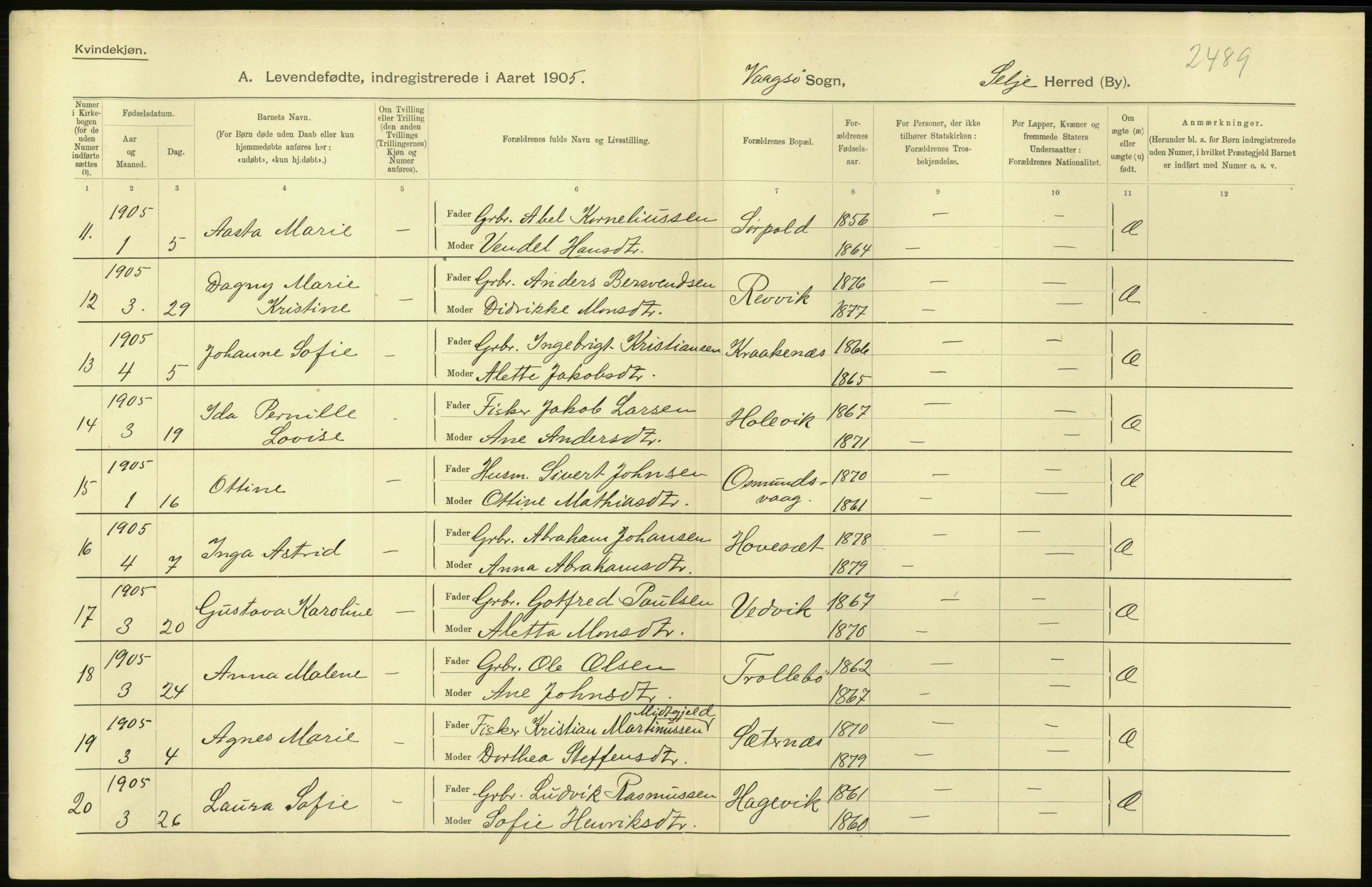 Statistisk sentralbyrå, Sosiodemografiske emner, Befolkning, AV/RA-S-2228/D/Df/Dfa/Dfac/L0028: Nordre Bergenhus amt: Fødte. Bygder., 1905, s. 22