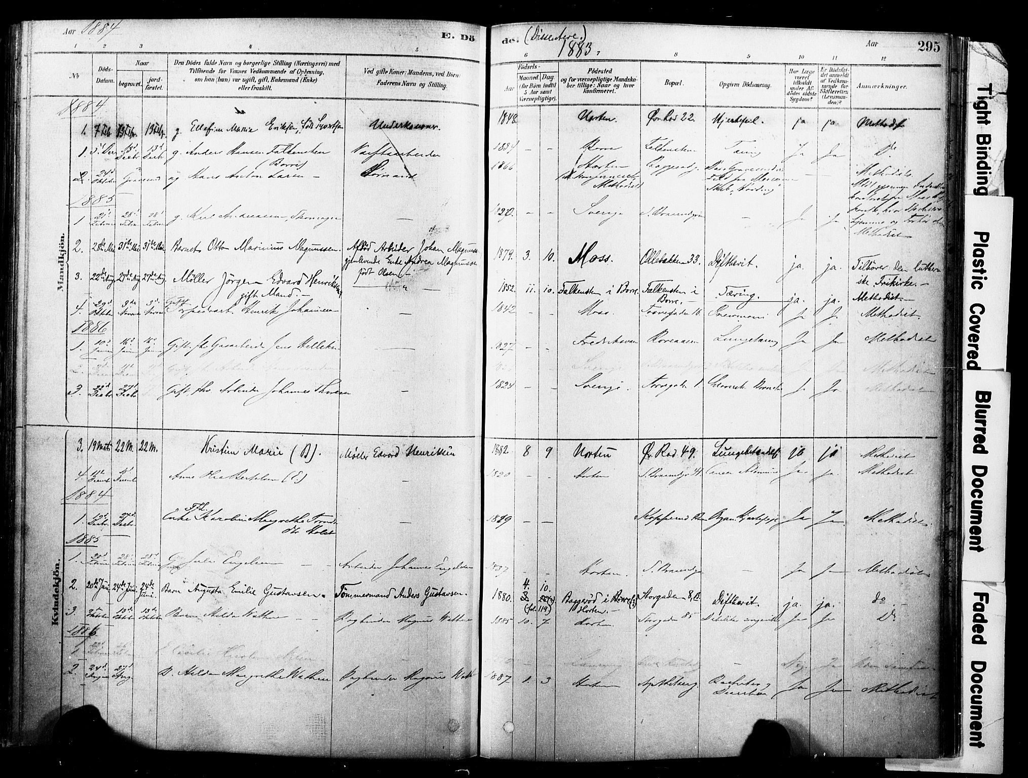 Horten kirkebøker, AV/SAKO-A-348/F/Fa/L0003: Ministerialbok nr. 3, 1878-1887, s. 295