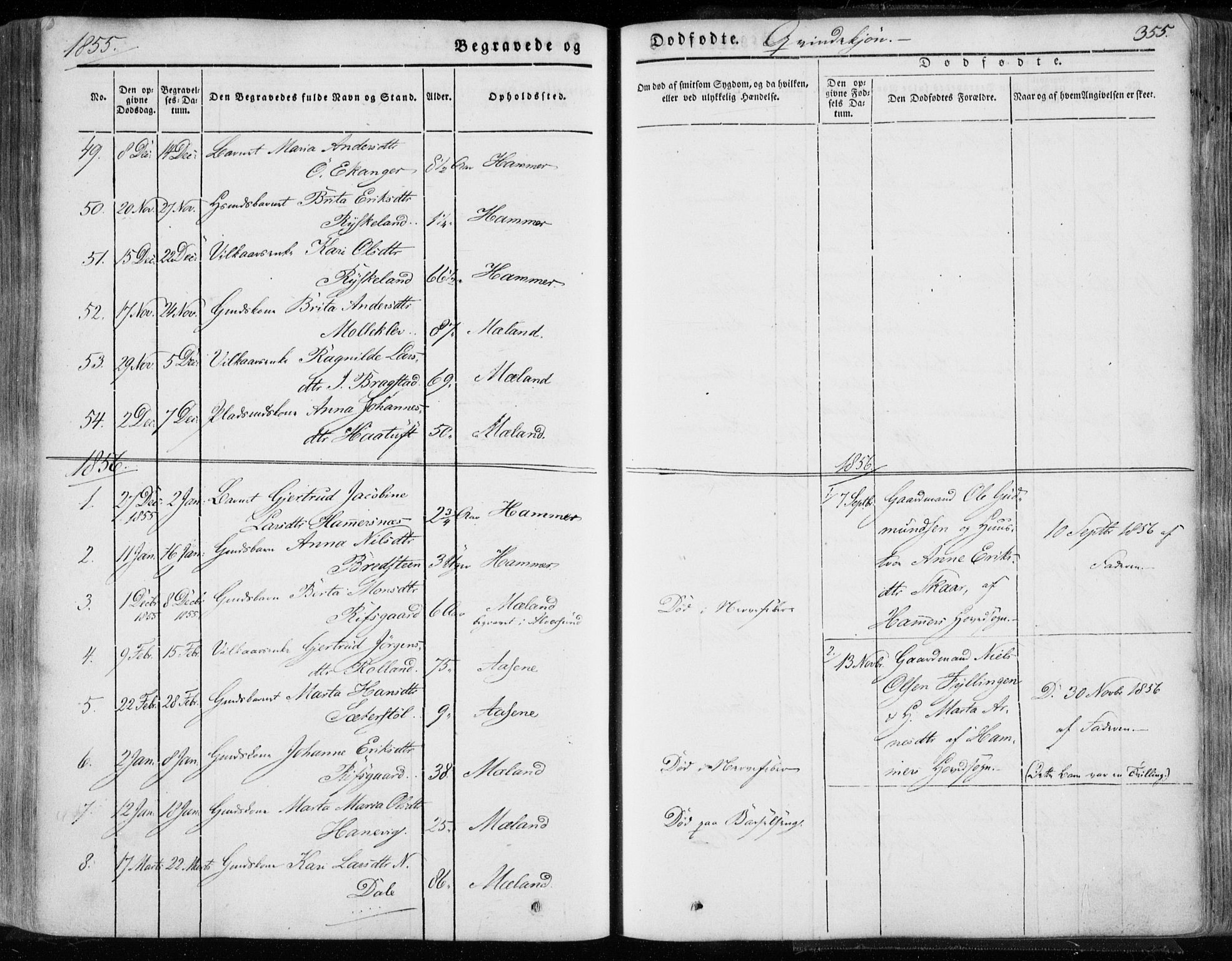 Hamre sokneprestembete, AV/SAB-A-75501/H/Ha/Haa/Haaa/L0013: Ministerialbok nr. A 13, 1846-1857, s. 355