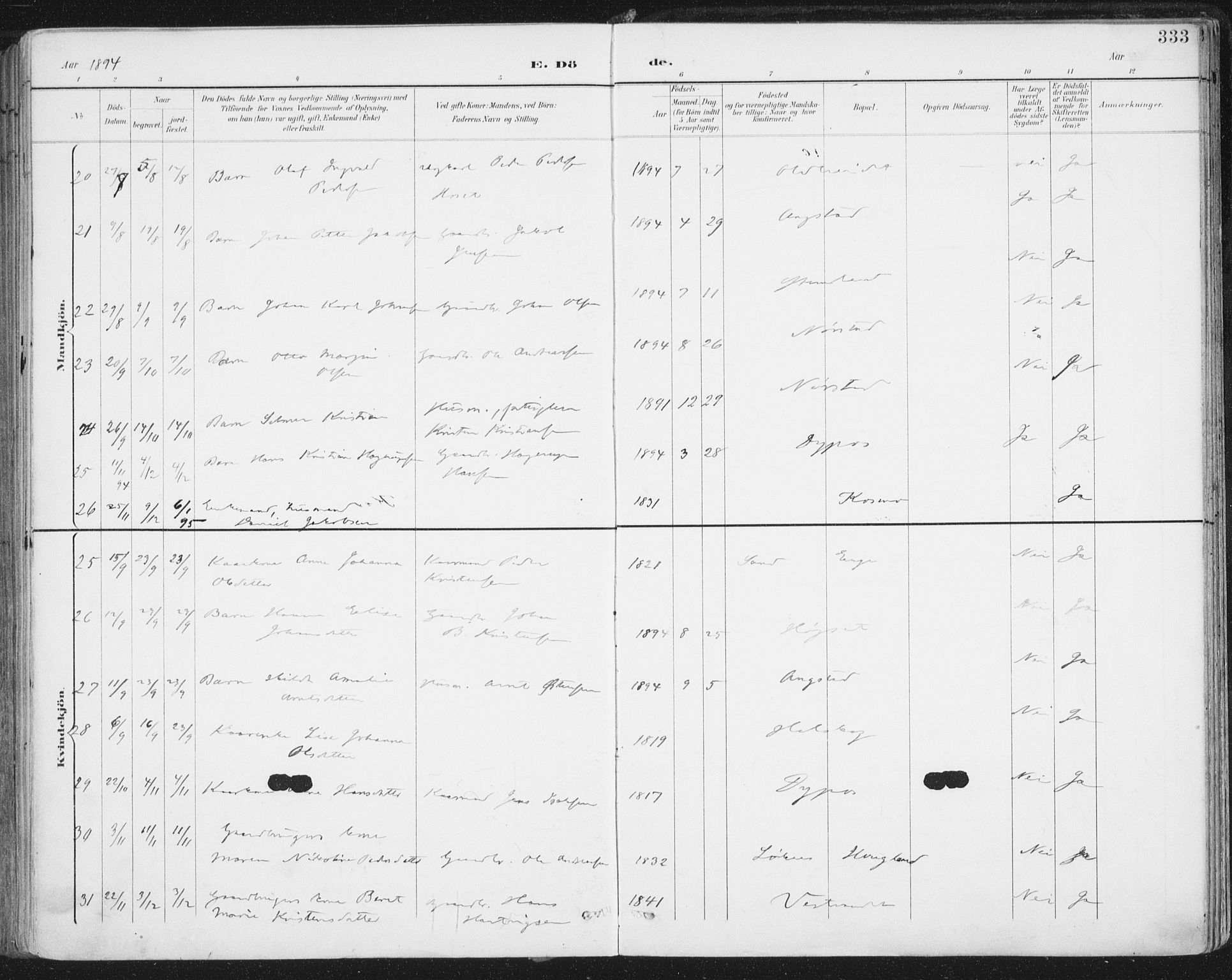 Ministerialprotokoller, klokkerbøker og fødselsregistre - Nordland, SAT/A-1459/852/L0741: Ministerialbok nr. 852A11, 1894-1917, s. 333