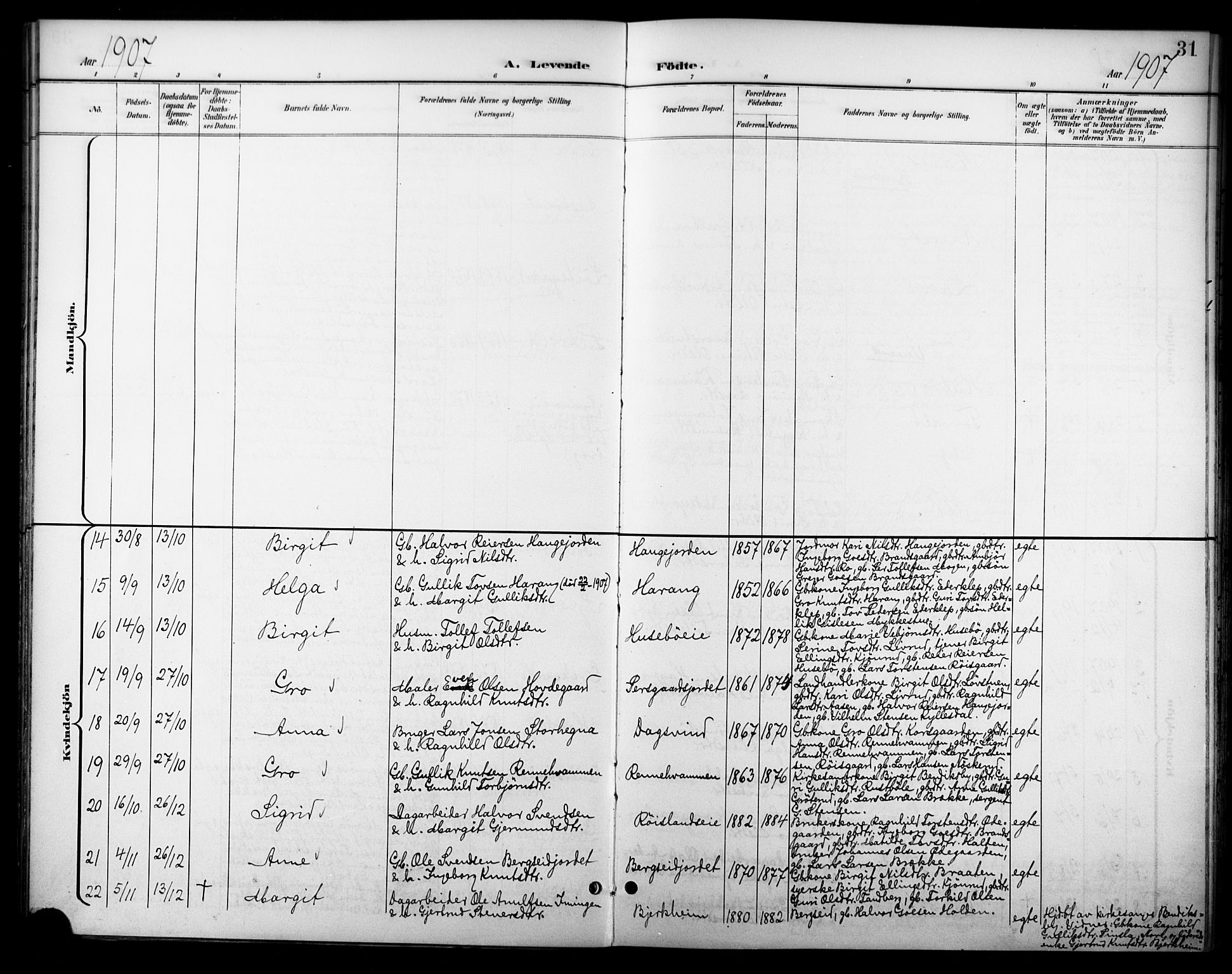 Nore kirkebøker, AV/SAKO-A-238/F/Fc/L0005: Ministerialbok nr. III 5, 1898-1922, s. 31