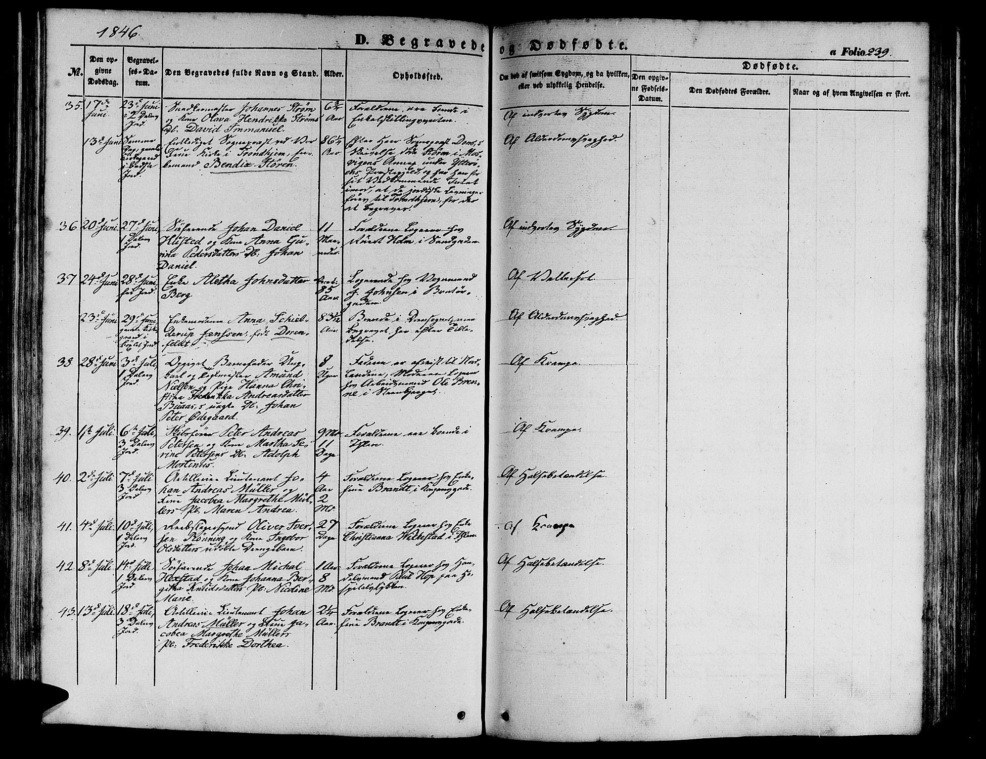 Ministerialprotokoller, klokkerbøker og fødselsregistre - Sør-Trøndelag, SAT/A-1456/602/L0137: Klokkerbok nr. 602C05, 1846-1856, s. 239