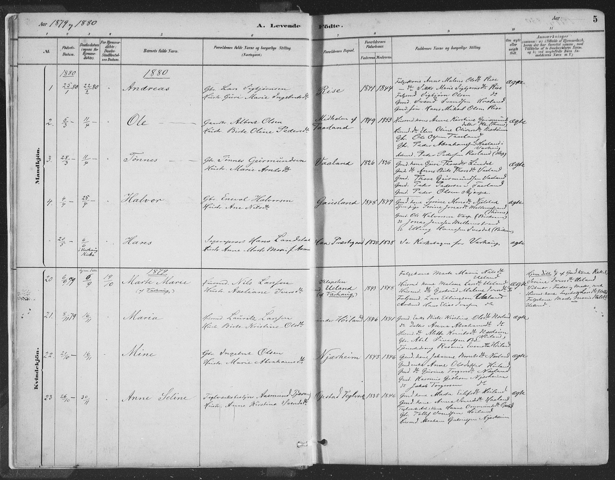 Hå sokneprestkontor, AV/SAST-A-101801/001/30BA/L0010: Ministerialbok nr. A 9, 1879-1896, s. 5