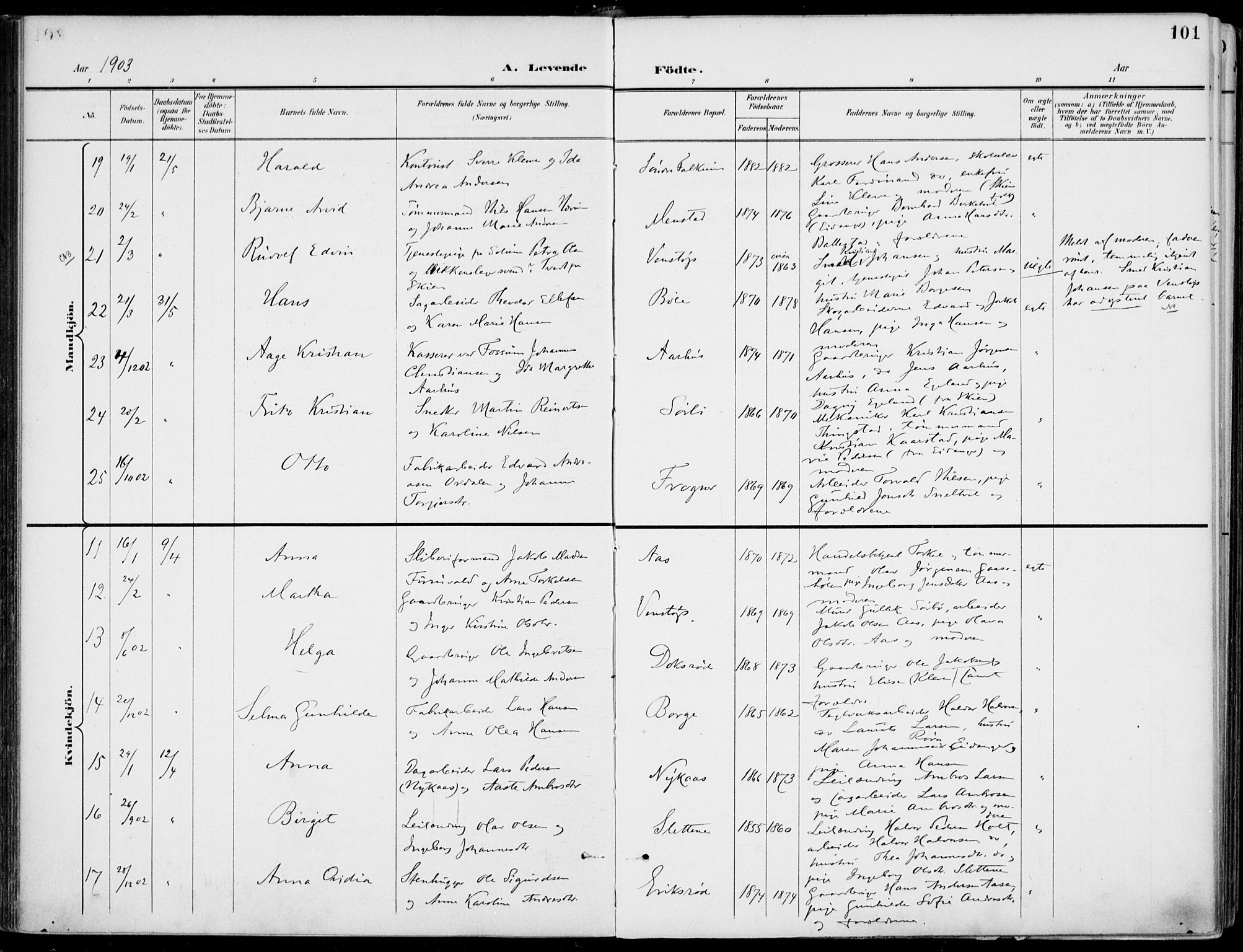 Gjerpen kirkebøker, AV/SAKO-A-265/F/Fa/L0011: Ministerialbok nr. I 11, 1896-1904, s. 101