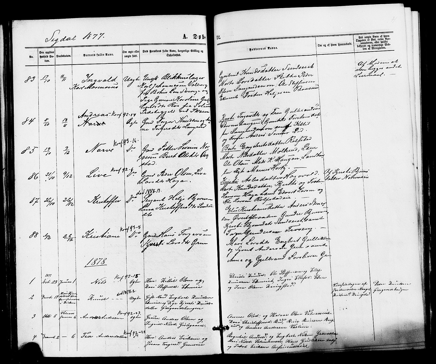 Sigdal kirkebøker, SAKO/A-245/F/Fa/L0010: Ministerialbok nr. I 10 /1, 1872-1878, s. 41