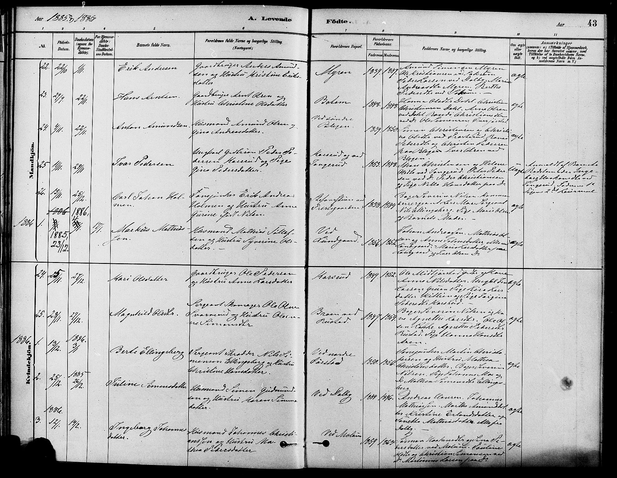 Fåberg prestekontor, SAH/PREST-086/H/Ha/Haa/L0008: Ministerialbok nr. 8, 1879-1898, s. 43