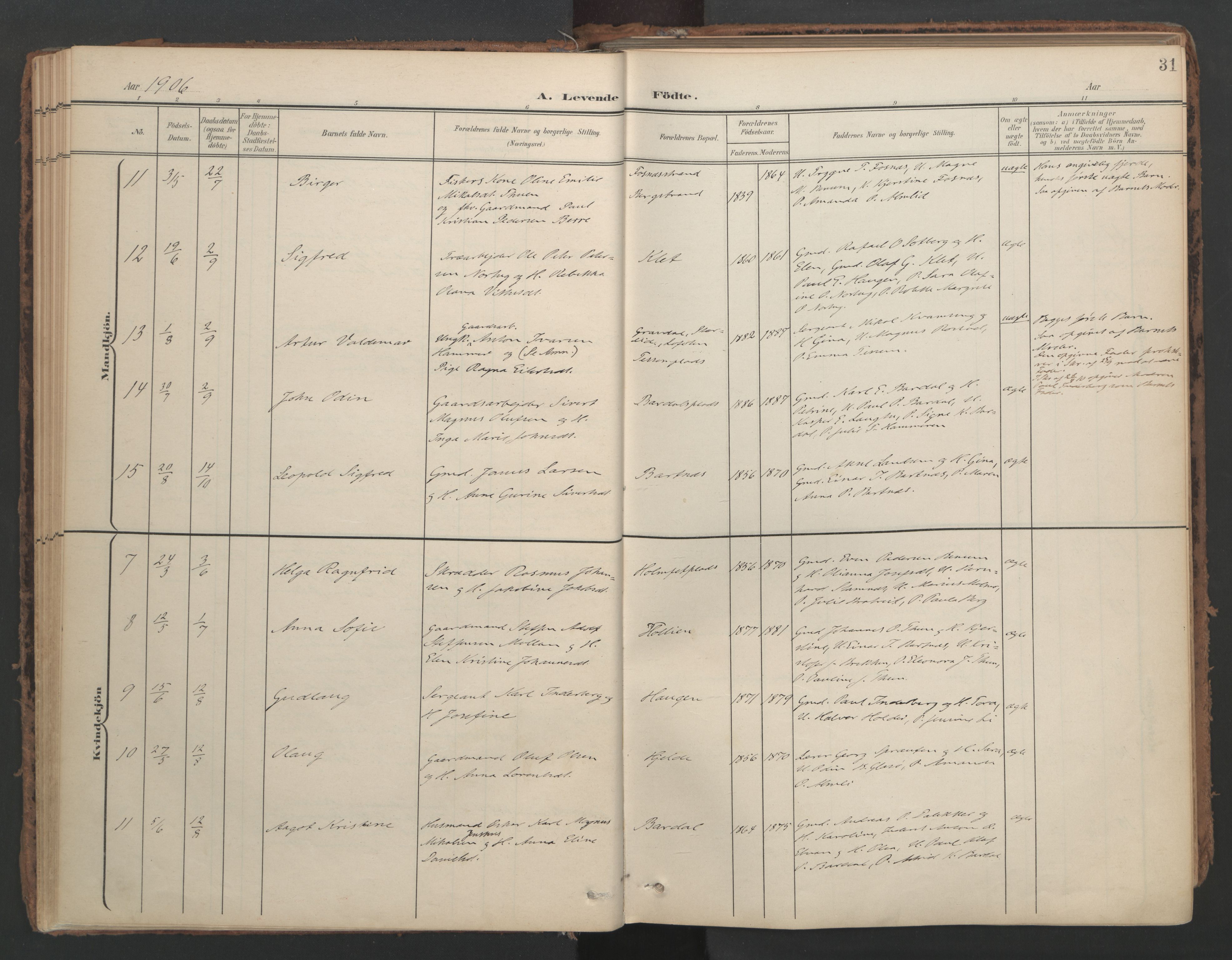 Ministerialprotokoller, klokkerbøker og fødselsregistre - Nord-Trøndelag, AV/SAT-A-1458/741/L0397: Ministerialbok nr. 741A11, 1901-1911, s. 31