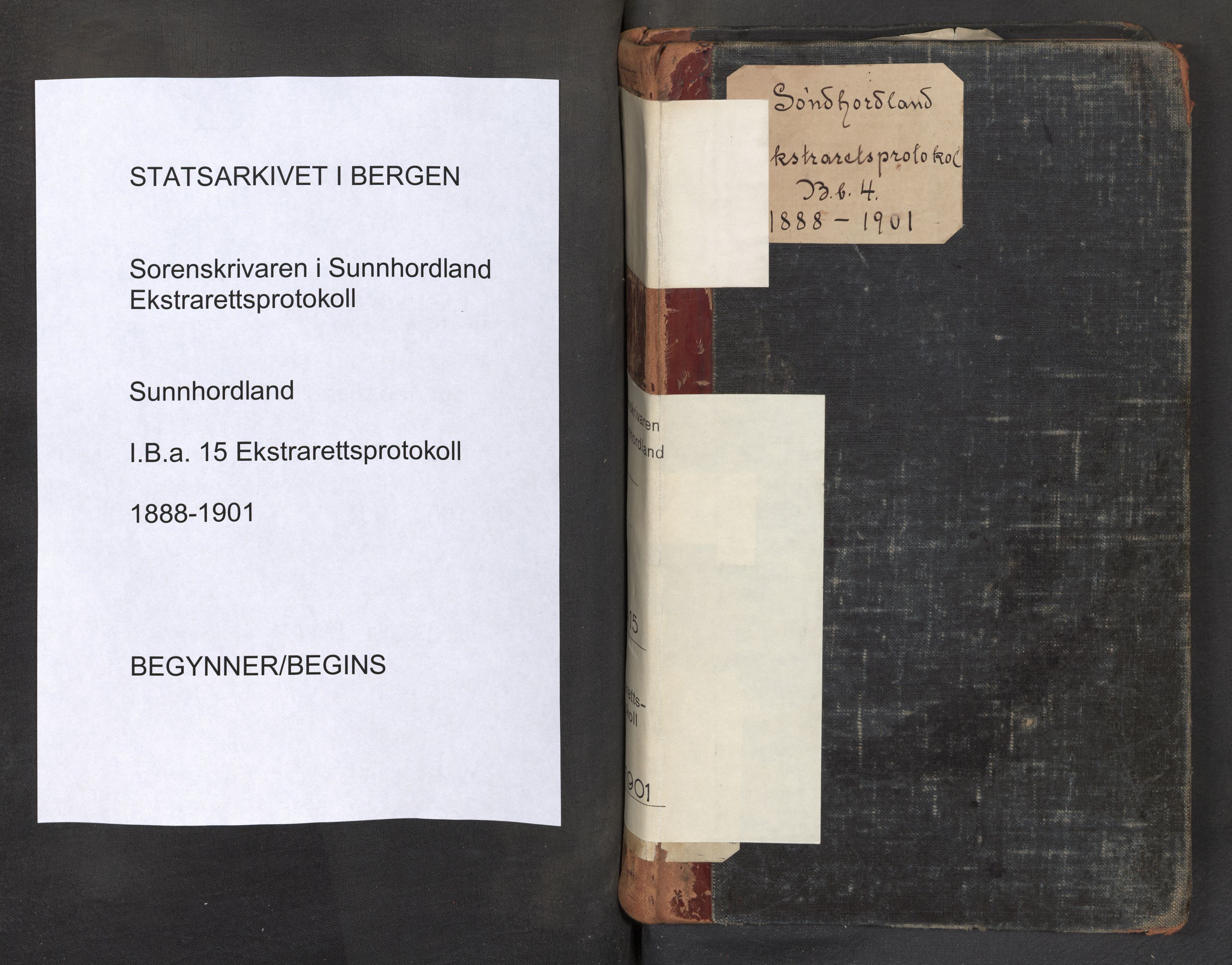 Sunnhordland sorenskrivar, SAB/A-2401/1/F/Fb/Fba/L0015: Ekstrarettsprotokoll, 1888-1901