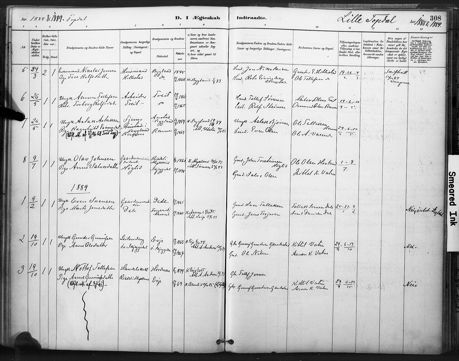 Åmli sokneprestkontor, AV/SAK-1111-0050/F/Fa/Fac/L0010: Ministerialbok nr. A 10 /3, 1885-1899, s. 308