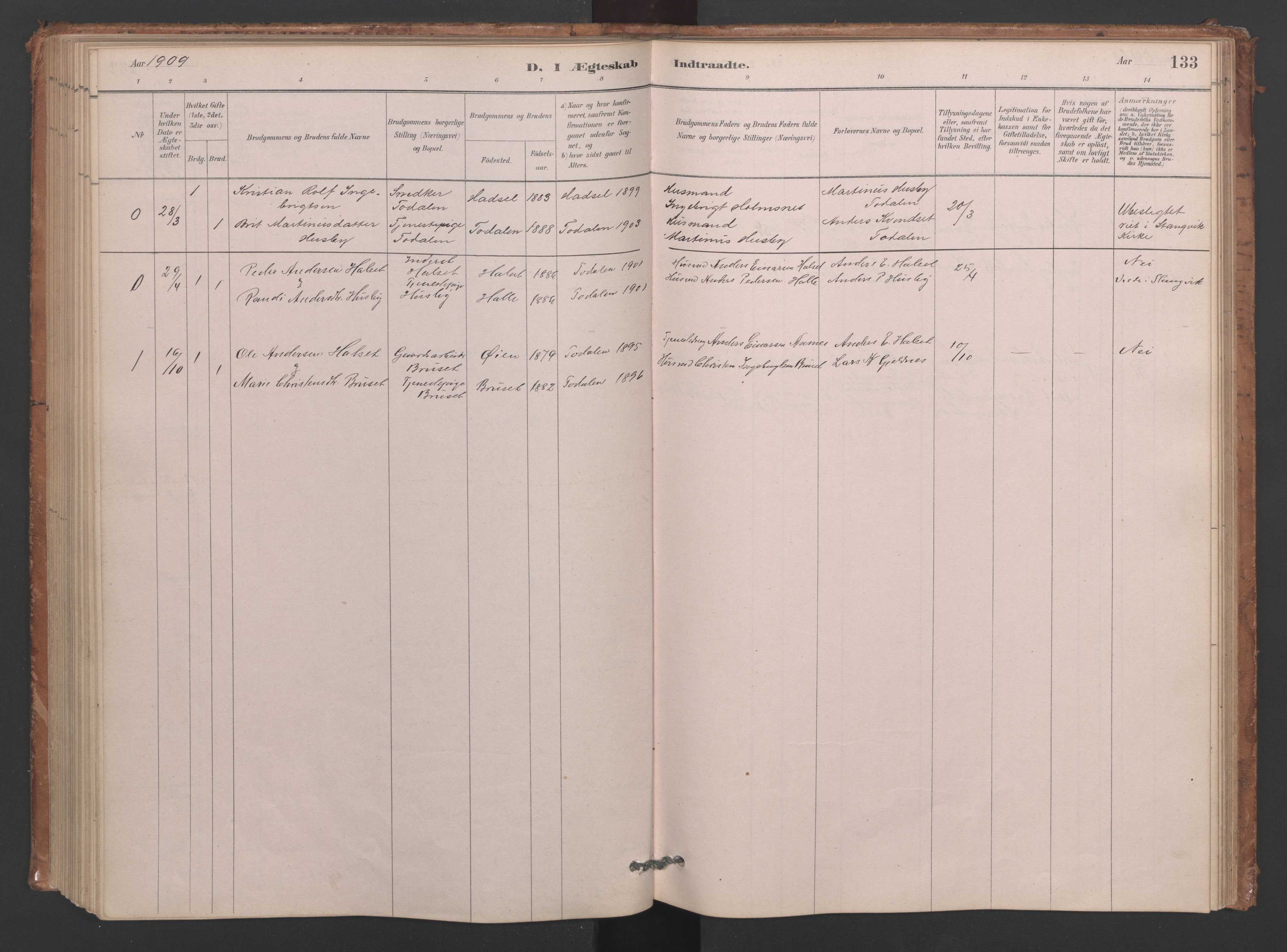 Ministerialprotokoller, klokkerbøker og fødselsregistre - Møre og Romsdal, SAT/A-1454/593/L1034: Ministerialbok nr. 593A01, 1879-1911, s. 133