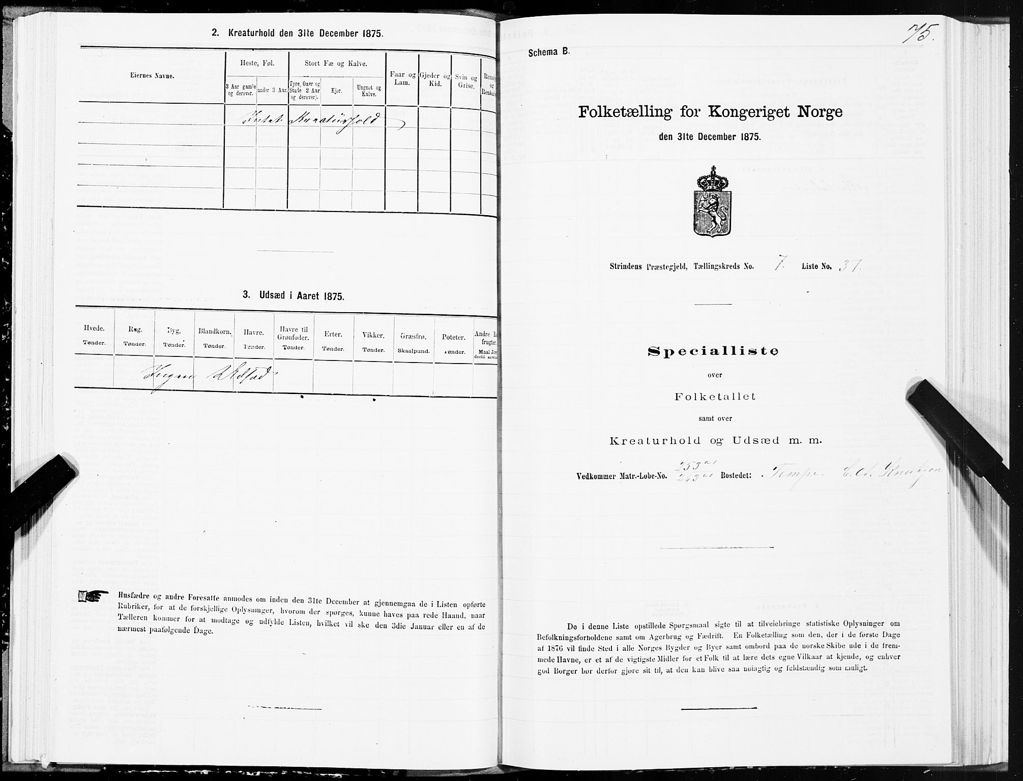 SAT, Folketelling 1875 for 1660P Strinda prestegjeld, 1875, s. 4075