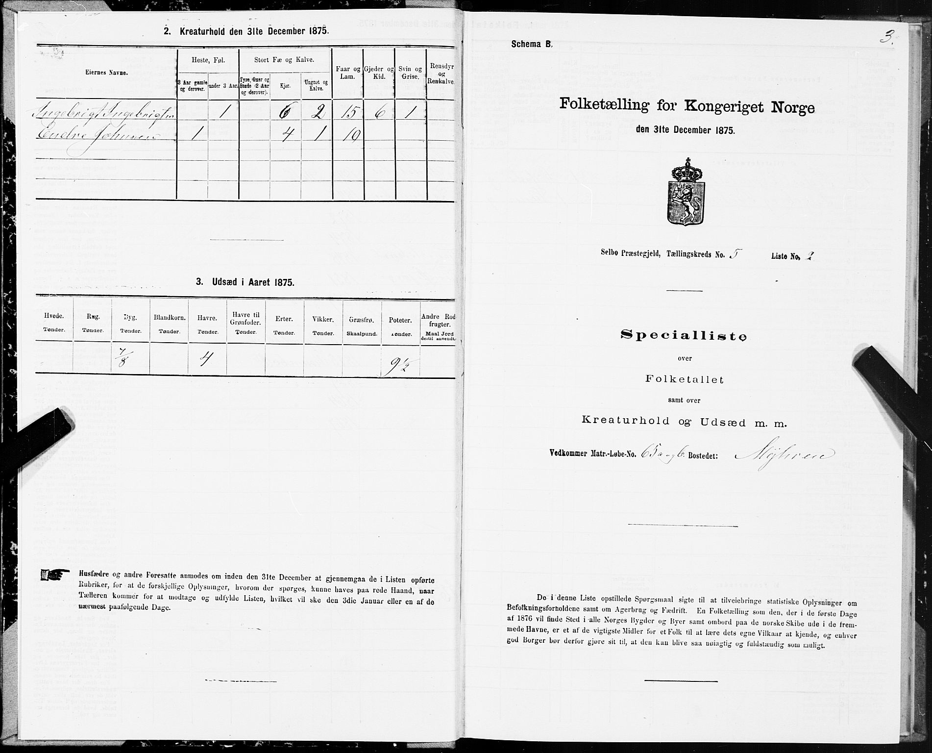 SAT, Folketelling 1875 for 1664P Selbu prestegjeld, 1875, s. 3003