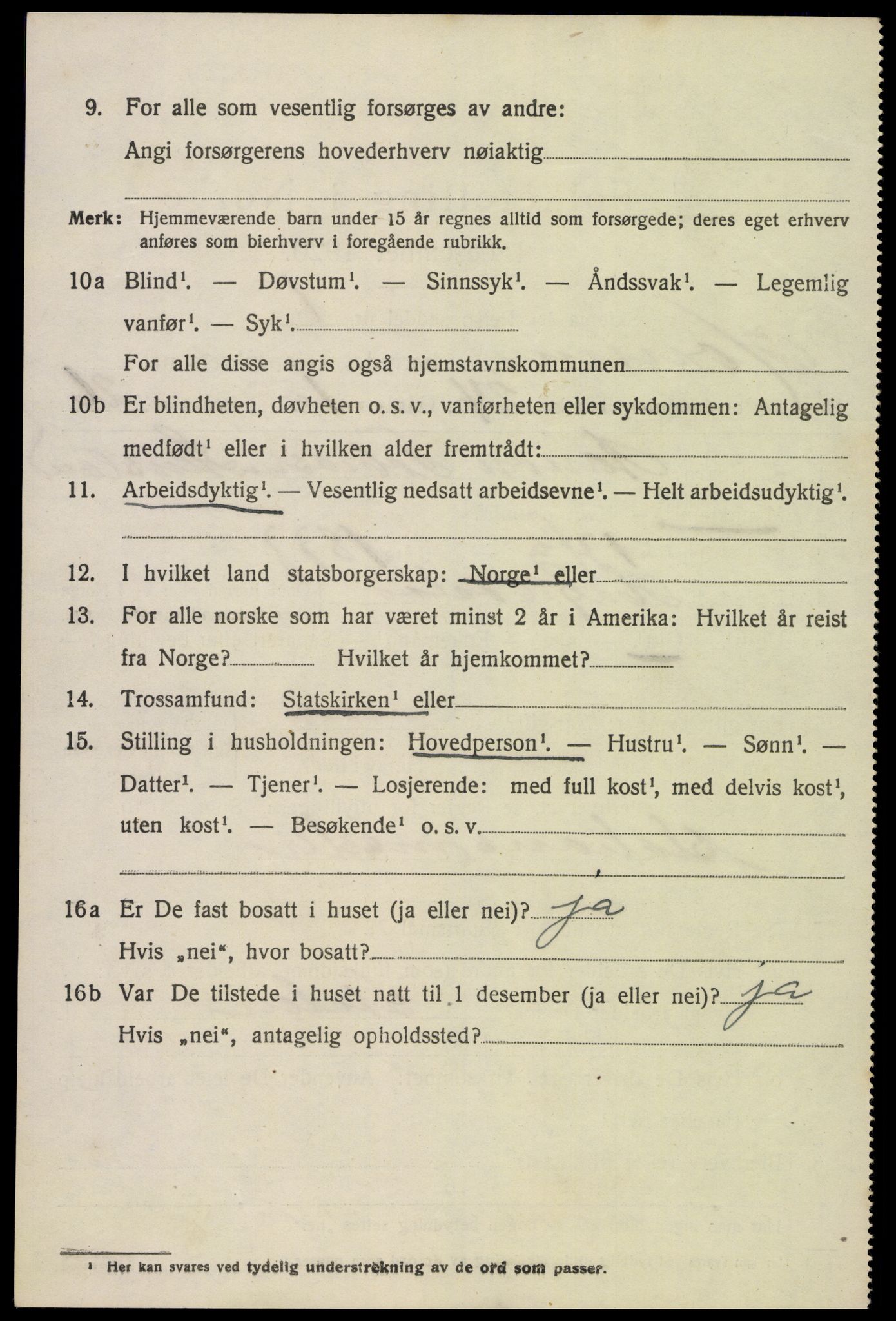 SAK, Folketelling 1920 for 0936 Hornnes herred, 1920, s. 2166
