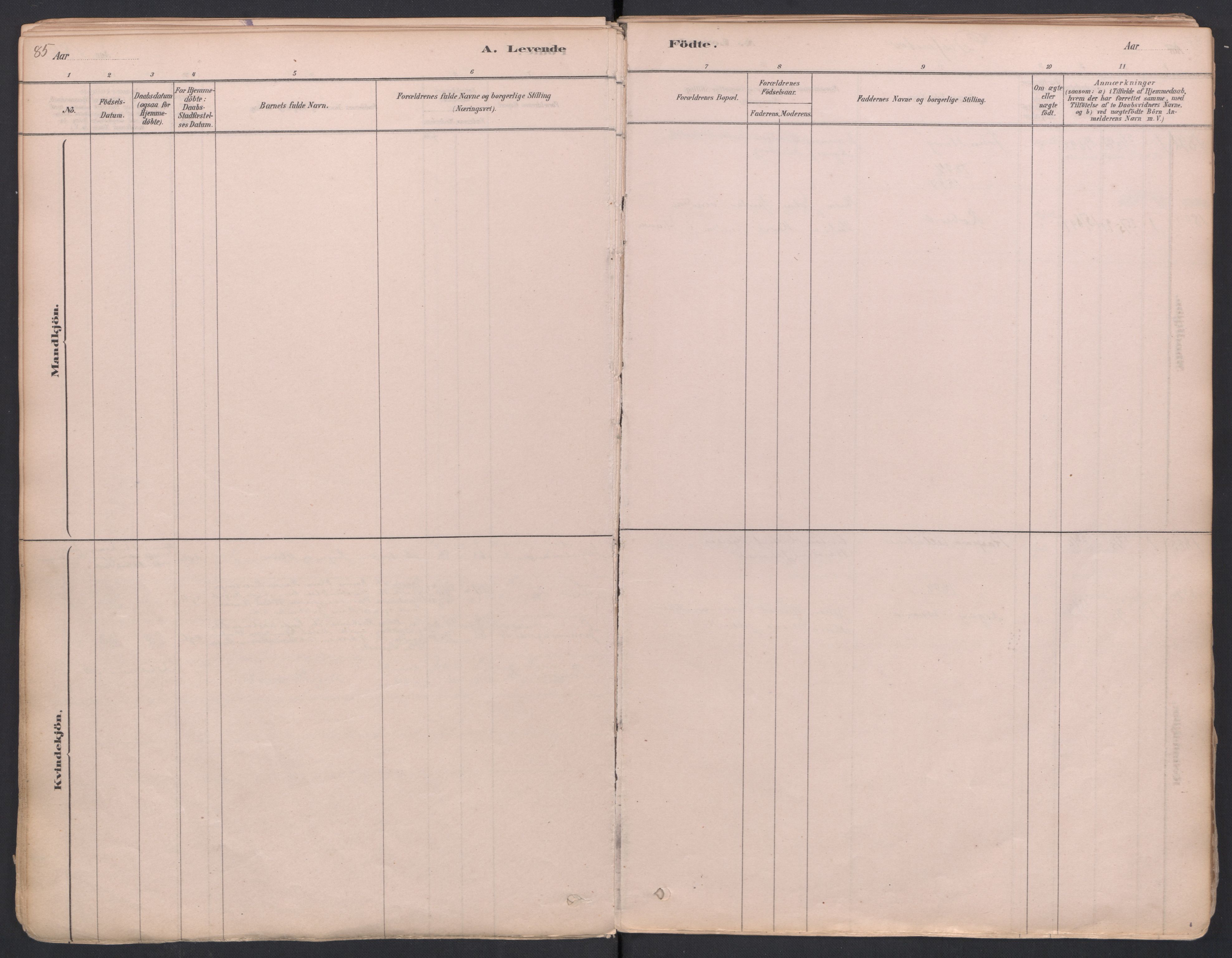 Trøgstad prestekontor Kirkebøker, AV/SAO-A-10925/F/Fa/L0010: Ministerialbok nr. I 10, 1878-1898, s. 85