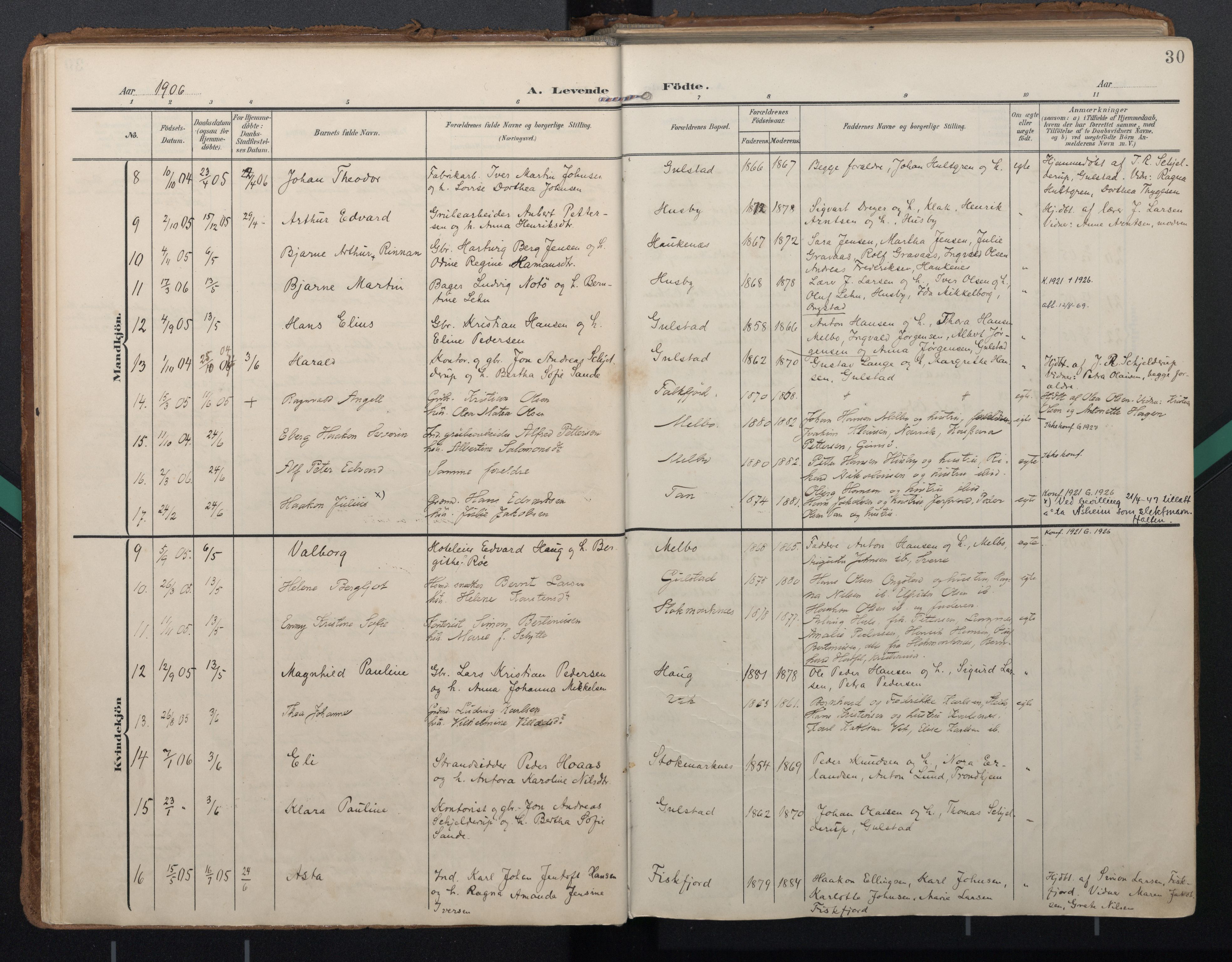 Ministerialprotokoller, klokkerbøker og fødselsregistre - Nordland, AV/SAT-A-1459/888/L1248: Ministerialbok nr. 888A14, 1904-1913, s. 30