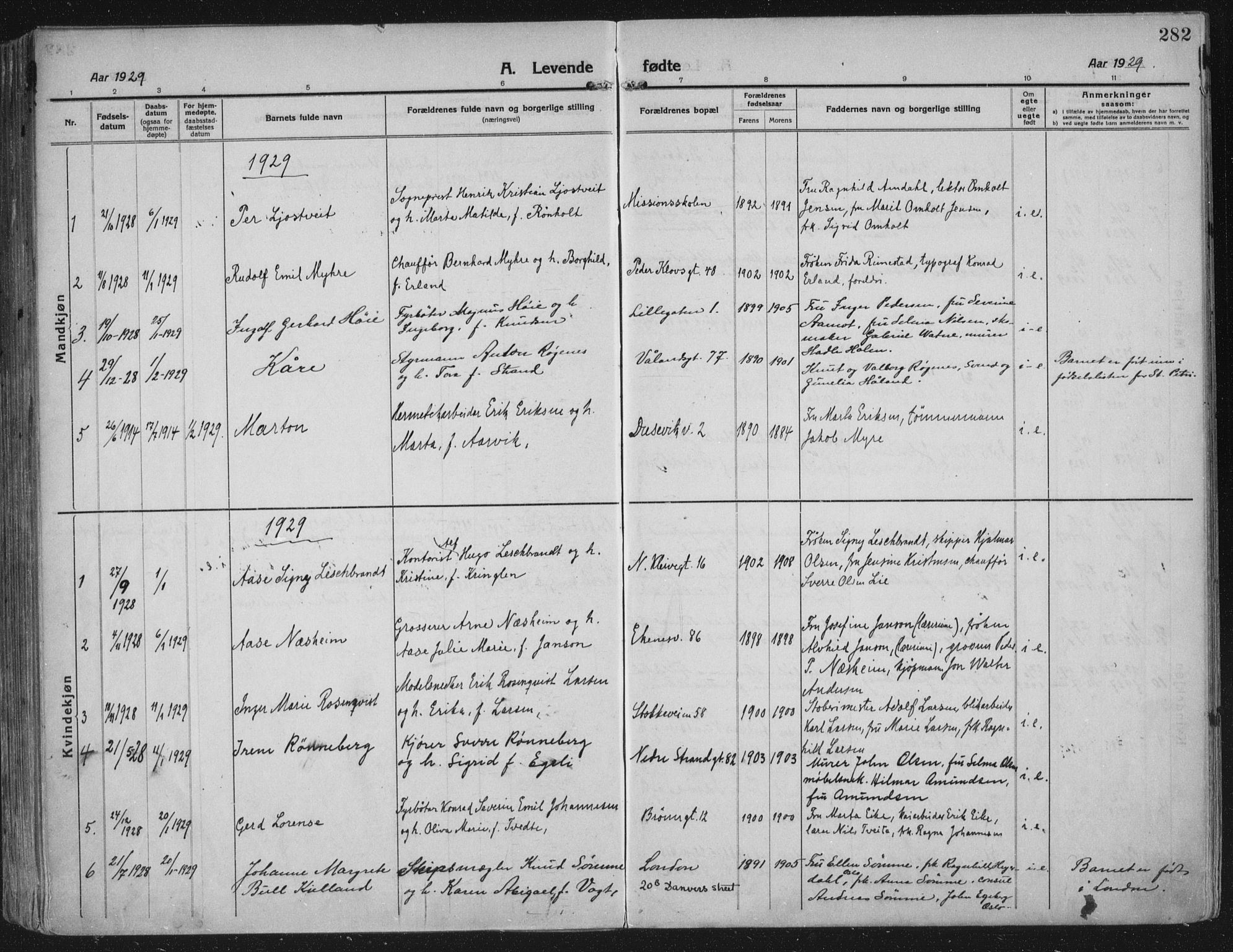 Domkirken sokneprestkontor, AV/SAST-A-101812/002/A/L0018: Ministerialbok nr. A 34, 1915-1929, s. 282