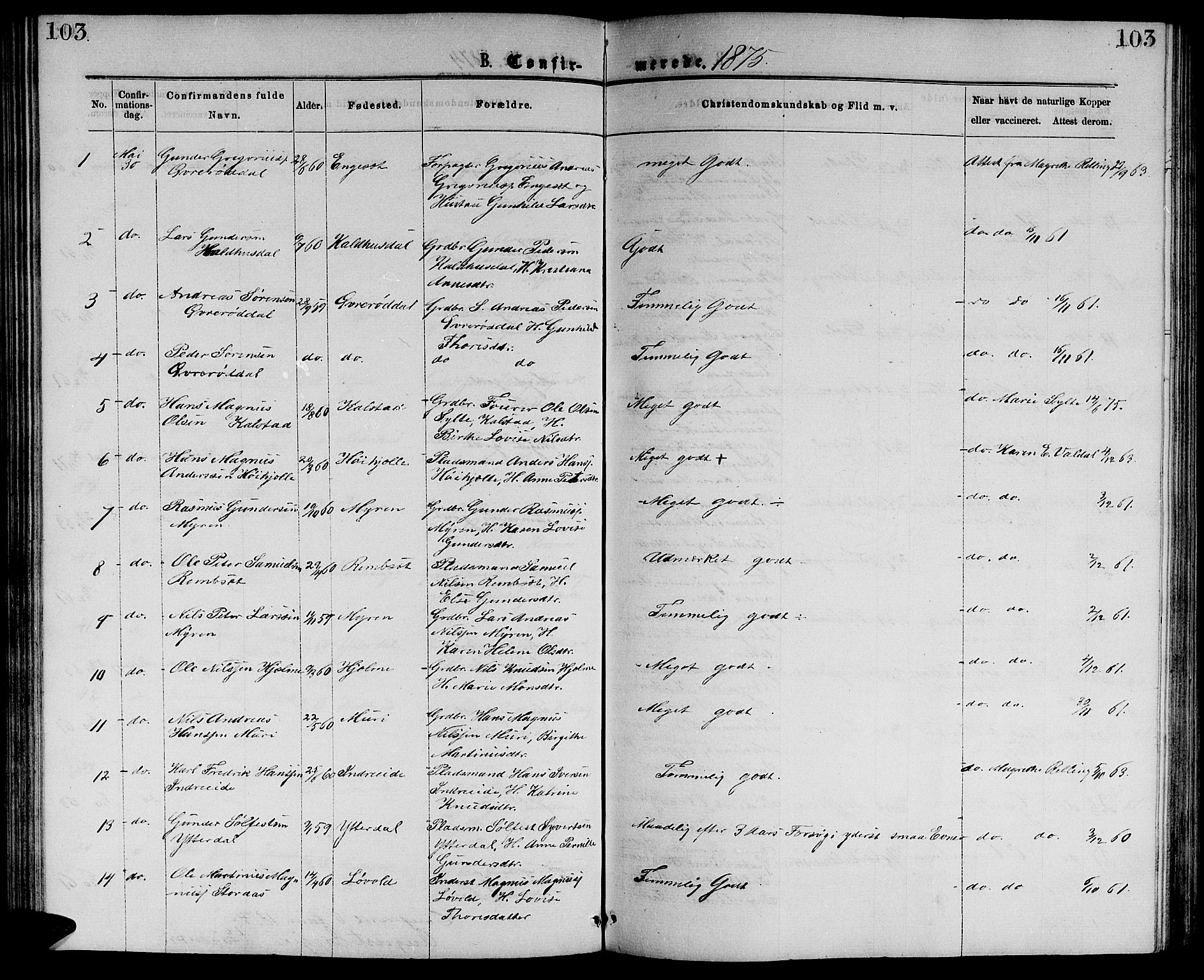 Ministerialprotokoller, klokkerbøker og fødselsregistre - Møre og Romsdal, AV/SAT-A-1454/519/L0262: Klokkerbok nr. 519C03, 1866-1884, s. 103