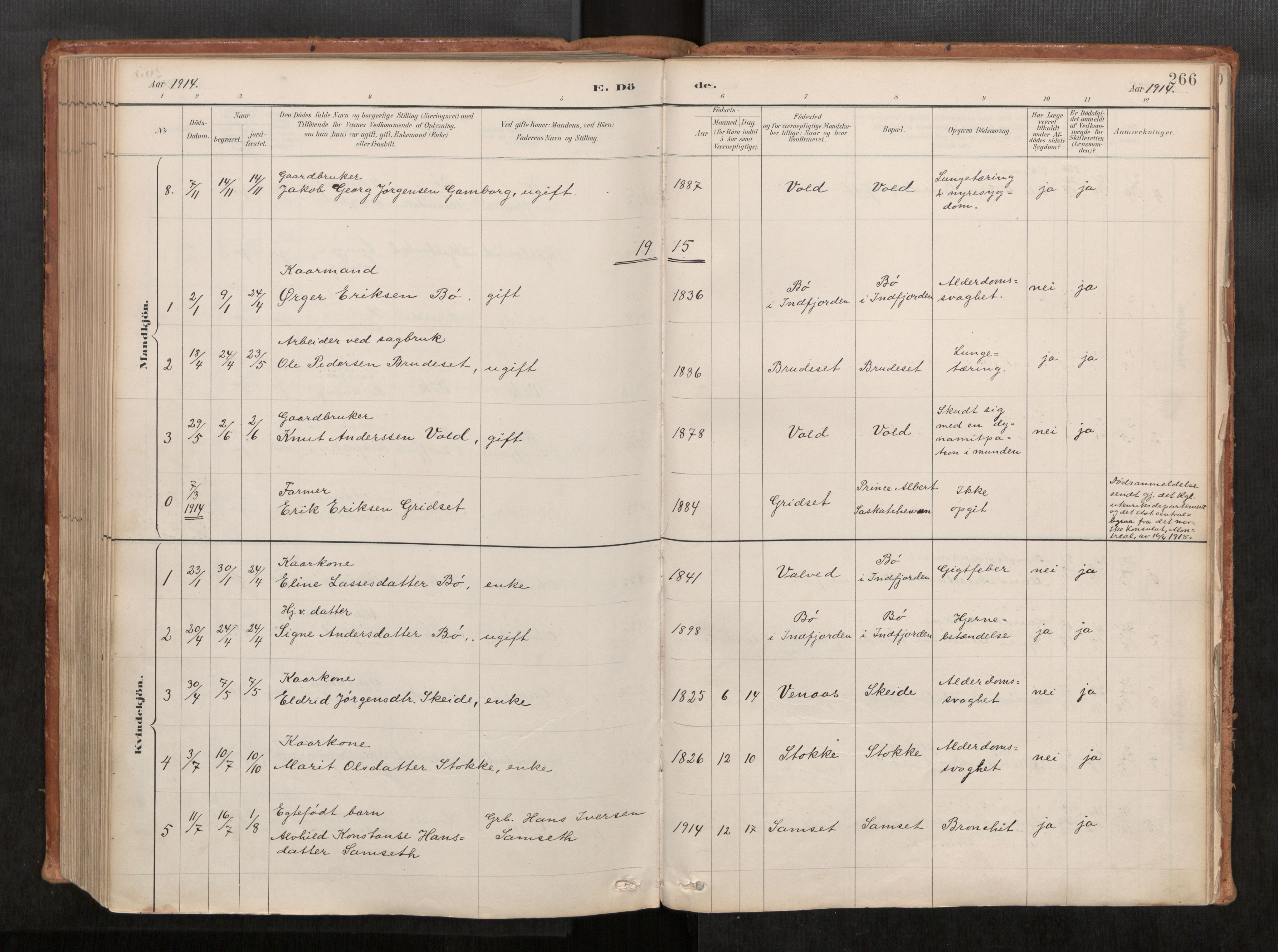 Ministerialprotokoller, klokkerbøker og fødselsregistre - Møre og Romsdal, AV/SAT-A-1454/543/L0568: Ministerialbok nr. 543A03, 1885-1915, s. 266