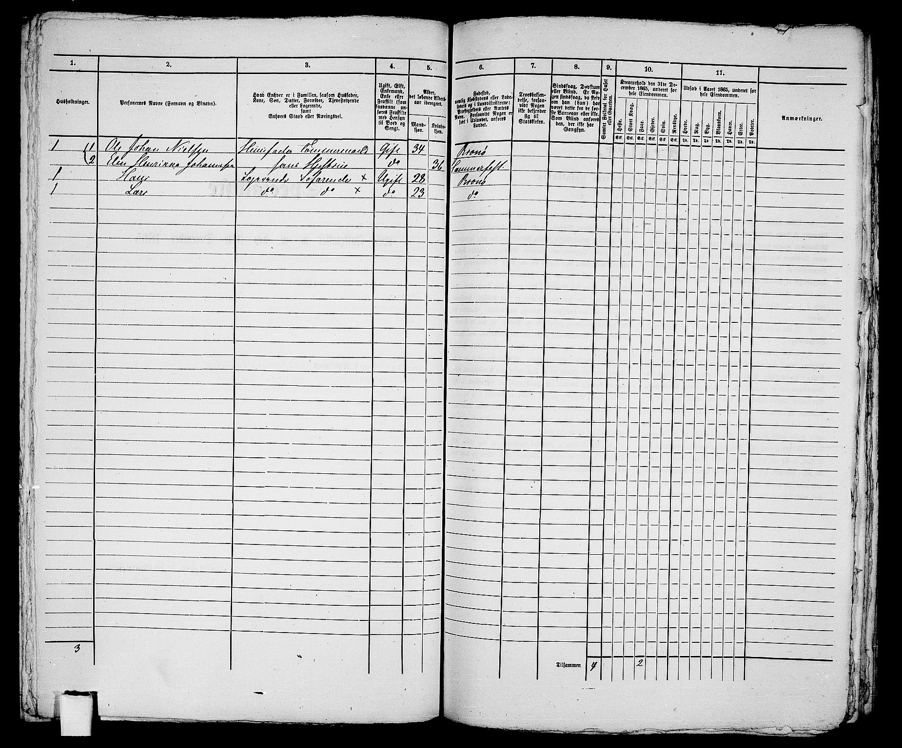 RA, Folketelling 1865 for 2001B Hammerfest prestegjeld, Hammerfest kjøpstad, 1865, s. 210