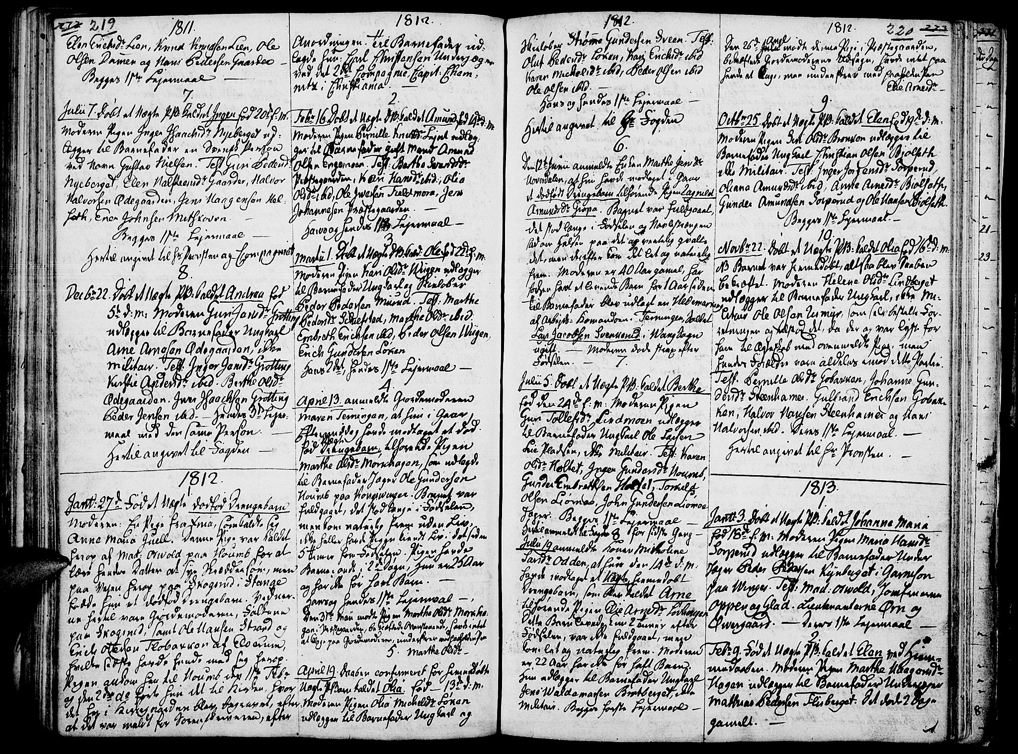 Elverum prestekontor, AV/SAH-PREST-044/H/Ha/Haa/L0006: Ministerialbok nr. 6, 1794-1814, s. 219-220