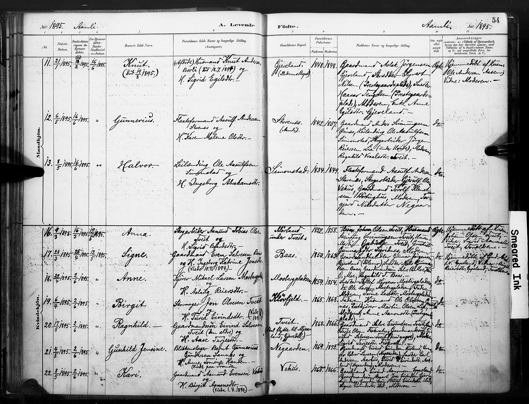 Åmli sokneprestkontor, AV/SAK-1111-0050/F/Fa/Fac/L0010: Ministerialbok nr. A 10 /1, 1885-1899, s. 54