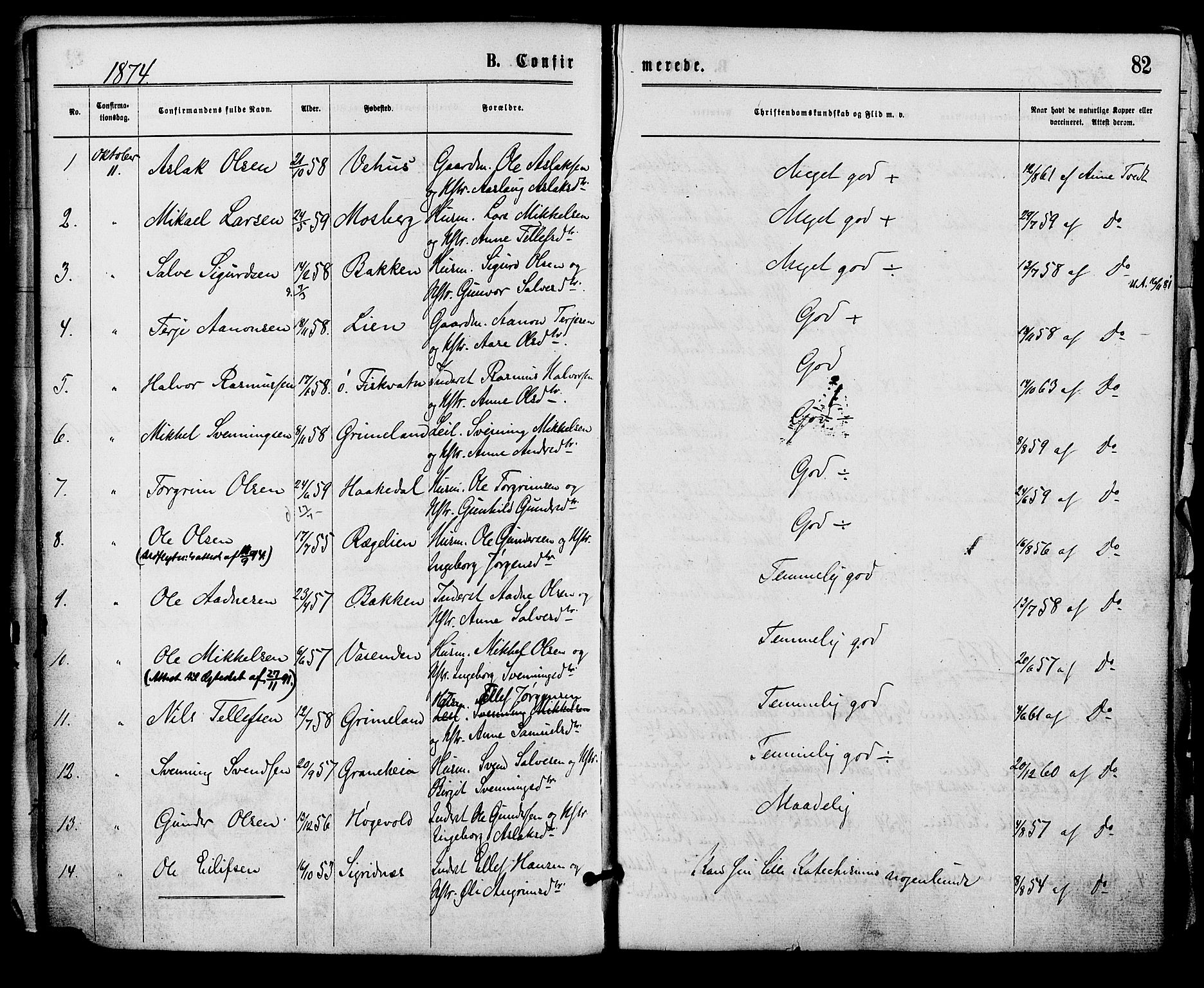 Åmli sokneprestkontor, AV/SAK-1111-0050/F/Fa/Fac/L0009: Ministerialbok nr. A 9 /1, 1869-1884, s. 82