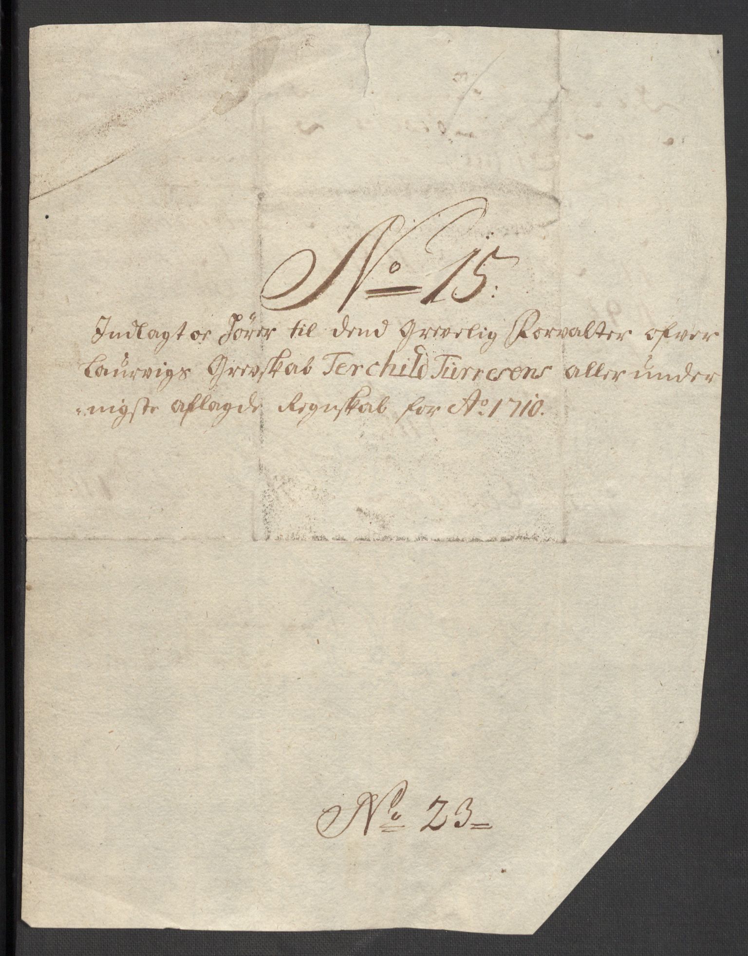 Rentekammeret inntil 1814, Reviderte regnskaper, Fogderegnskap, RA/EA-4092/R33/L1981: Fogderegnskap Larvik grevskap, 1709-1710, s. 449