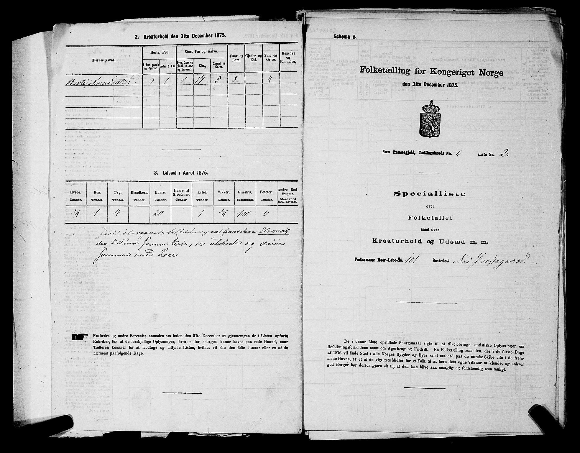 RA, Folketelling 1875 for 0236P Nes prestegjeld, 1875, s. 887