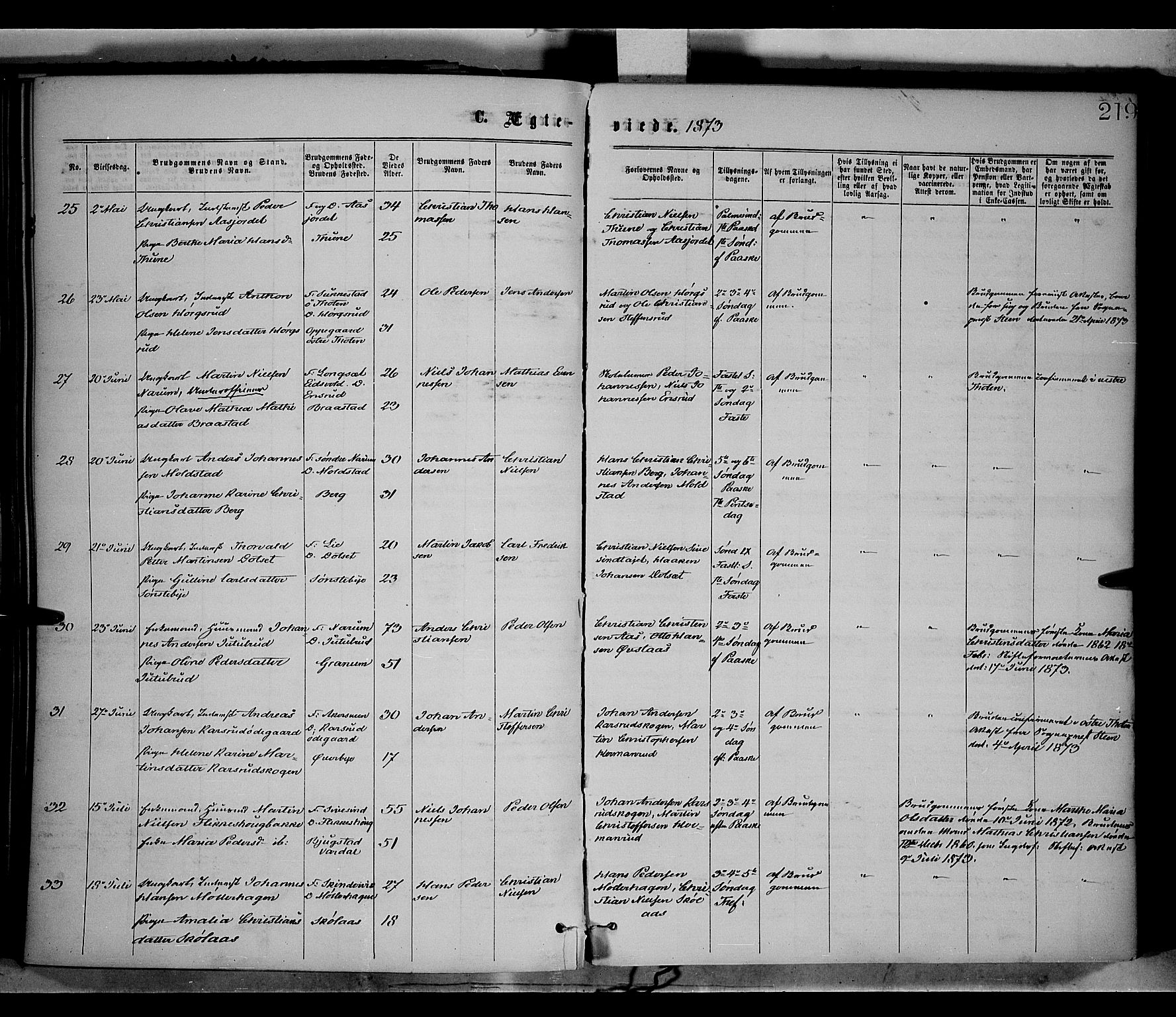 Vestre Toten prestekontor, AV/SAH-PREST-108/H/Ha/Haa/L0008: Ministerialbok nr. 8, 1870-1877, s. 219