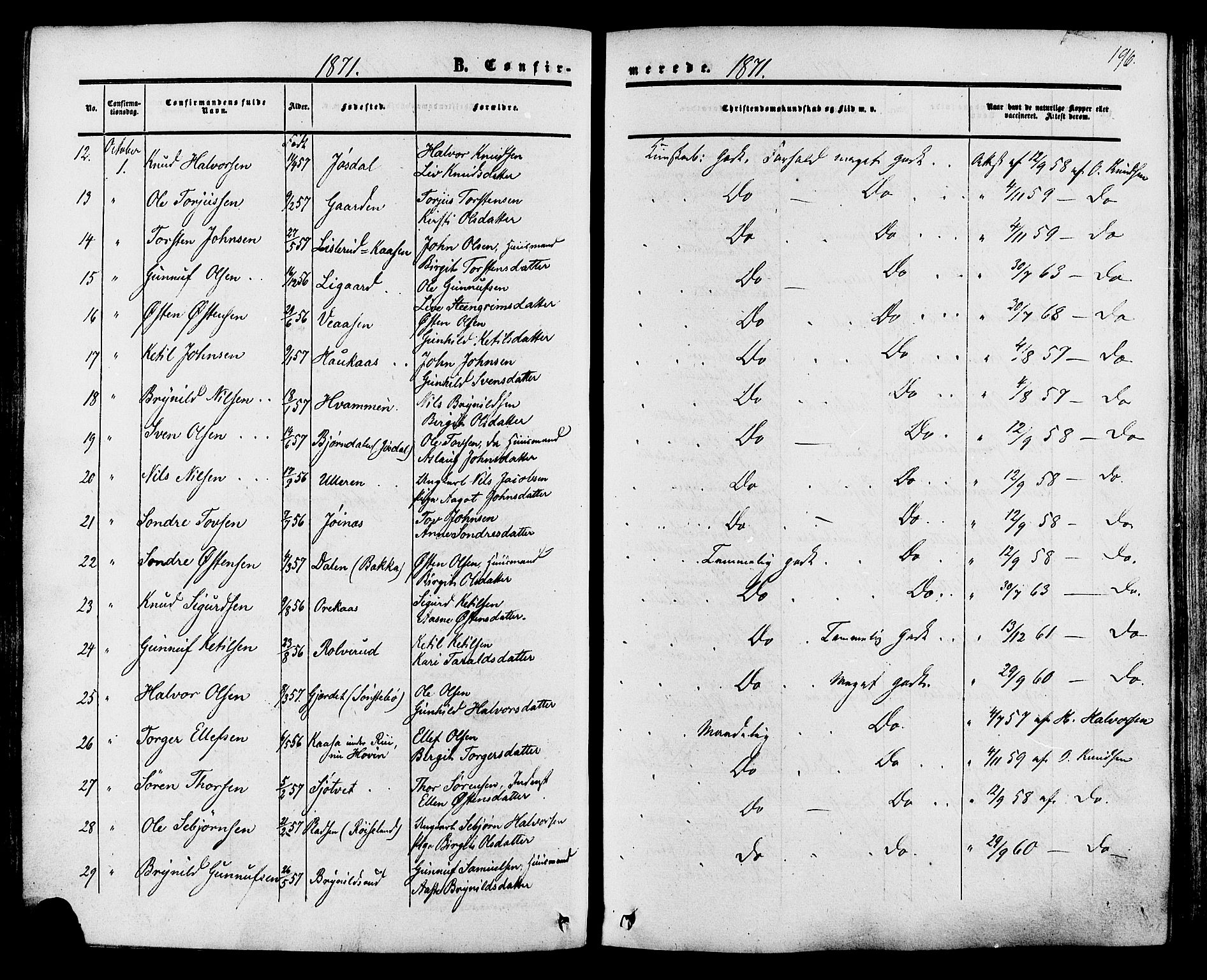 Tinn kirkebøker, AV/SAKO-A-308/F/Fa/L0006: Ministerialbok nr. I 6, 1857-1878, s. 196