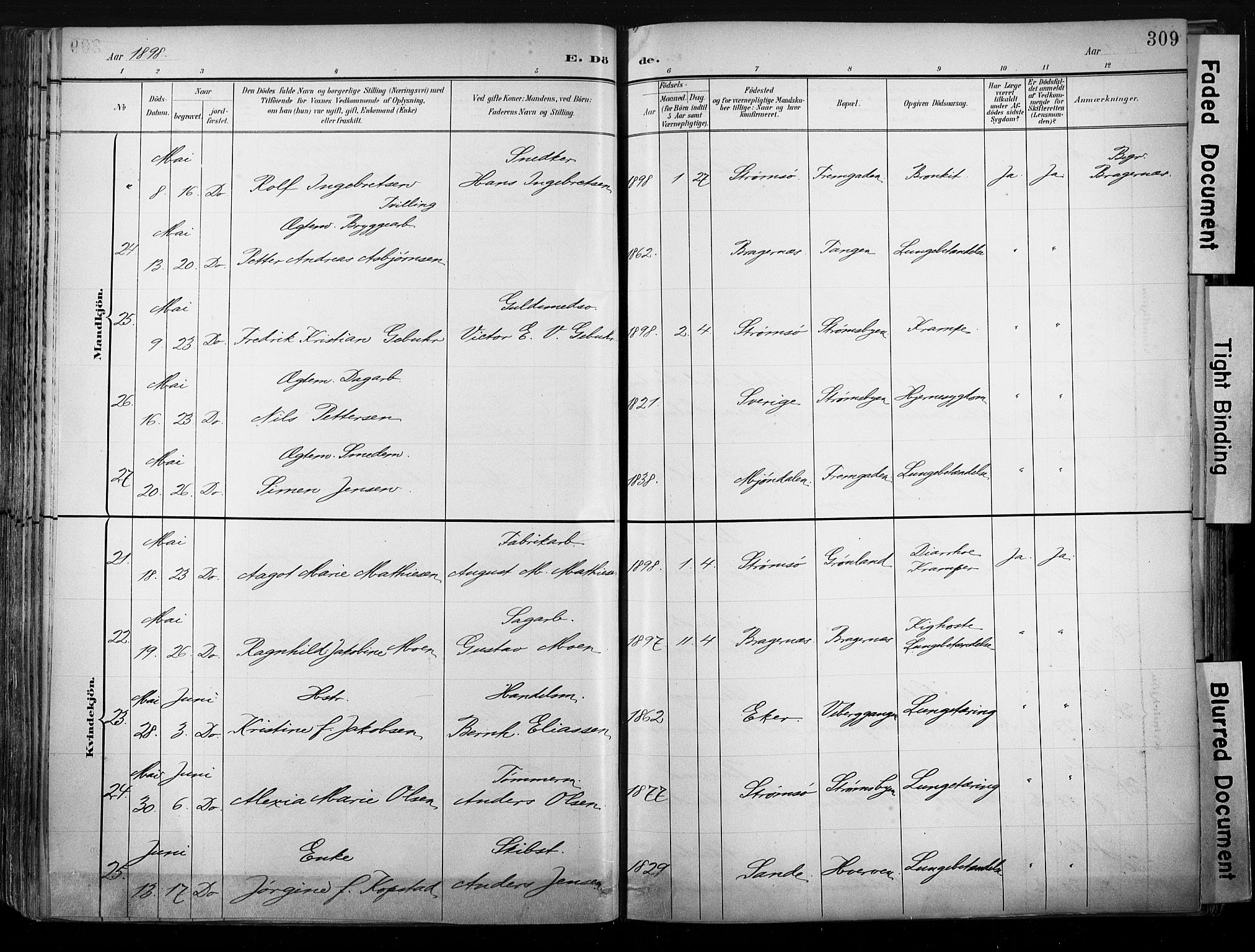 Strømsø kirkebøker, AV/SAKO-A-246/G/Ga/L0003: Klokkerbok nr. 3, 1894-1904, s. 309