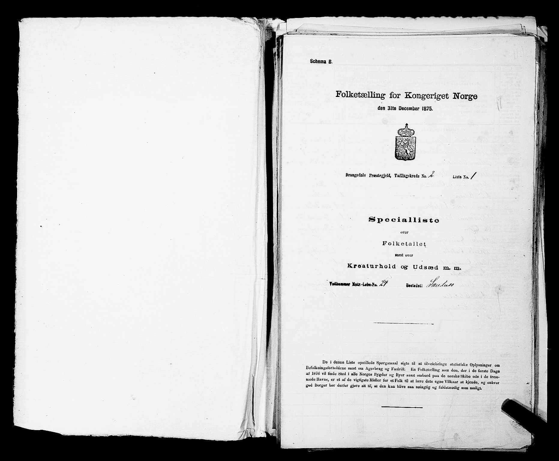 SAKO, Folketelling 1875 for 0817P Drangedal prestegjeld, 1875, s. 232