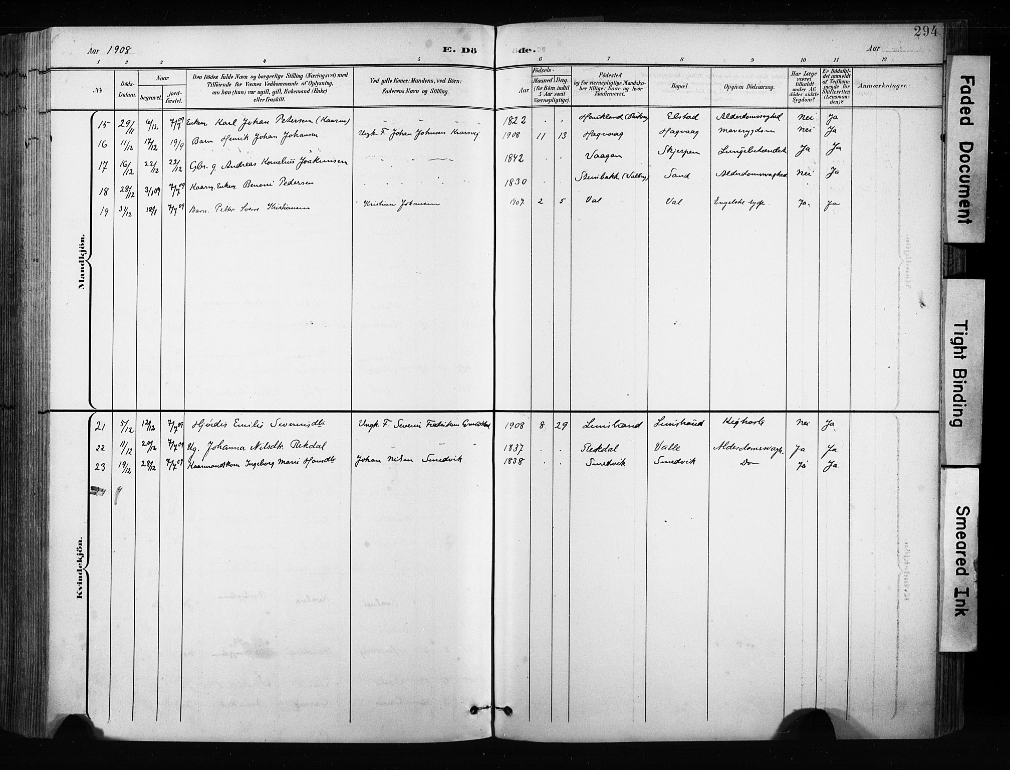 Ministerialprotokoller, klokkerbøker og fødselsregistre - Nordland, AV/SAT-A-1459/880/L1134: Ministerialbok nr. 880A08, 1899-1908, s. 294