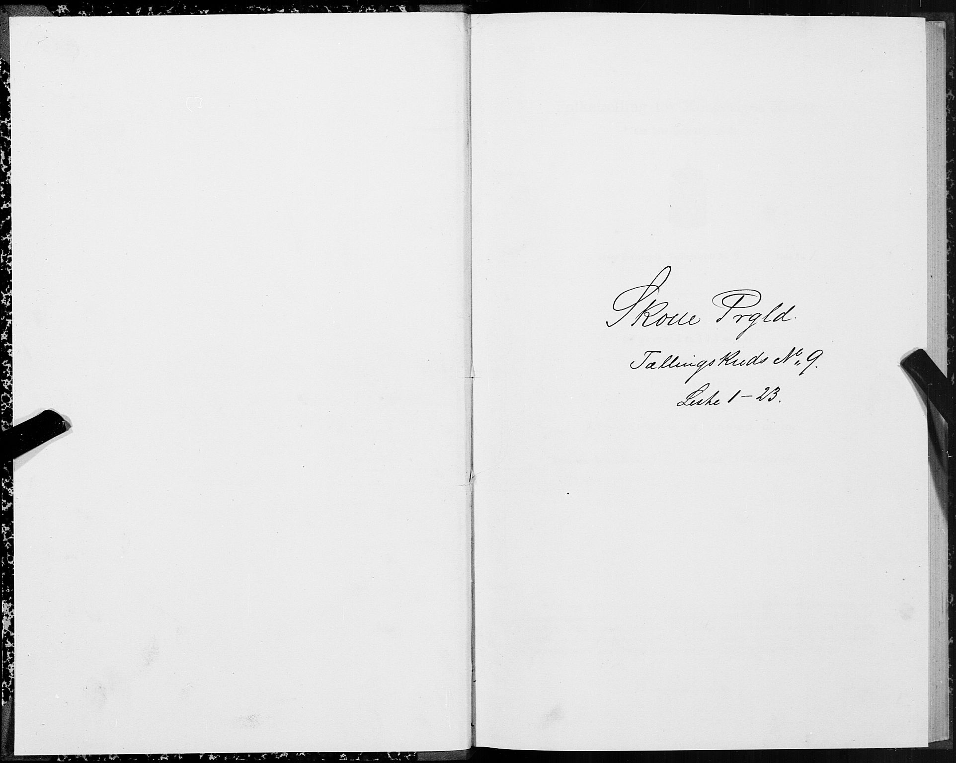 SAT, Folketelling 1875 for 1529P Skodje prestegjeld, 1875