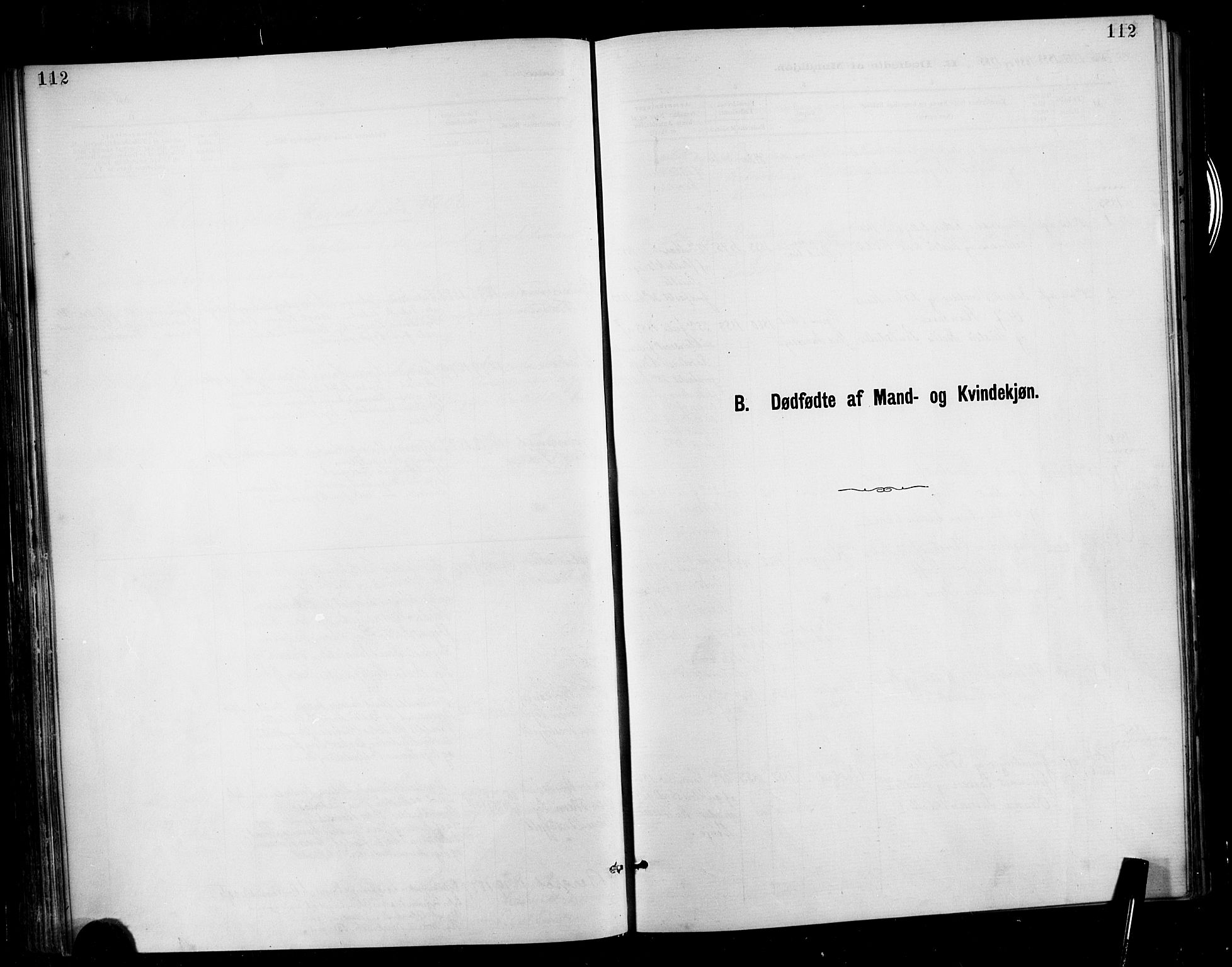 Ministerialprotokoller, klokkerbøker og fødselsregistre - Møre og Romsdal, AV/SAT-A-1454/566/L0769: Ministerialbok nr. 566A08, 1881-1903, s. 112