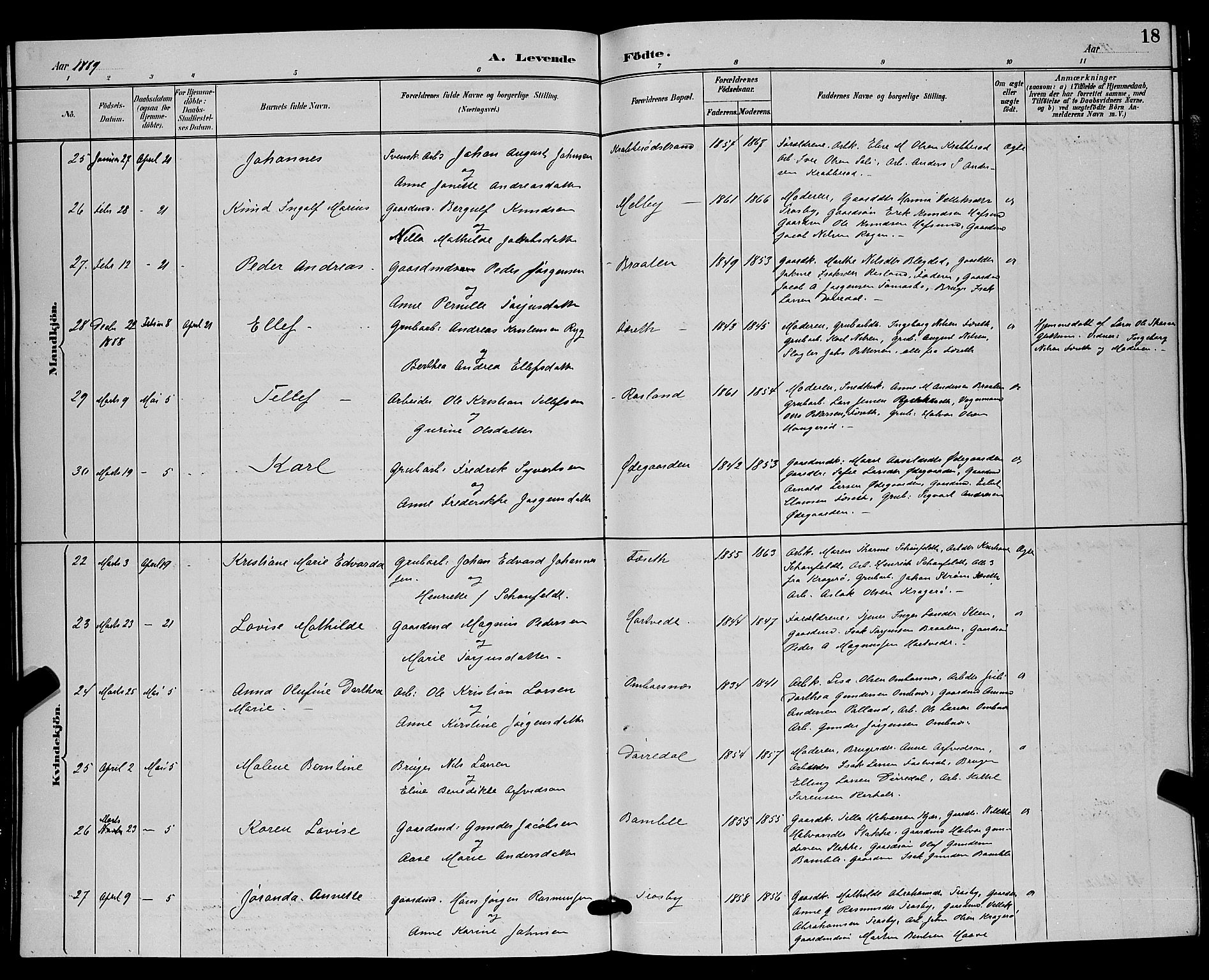 Bamble kirkebøker, AV/SAKO-A-253/G/Ga/L0009: Klokkerbok nr. I 9, 1888-1900, s. 18
