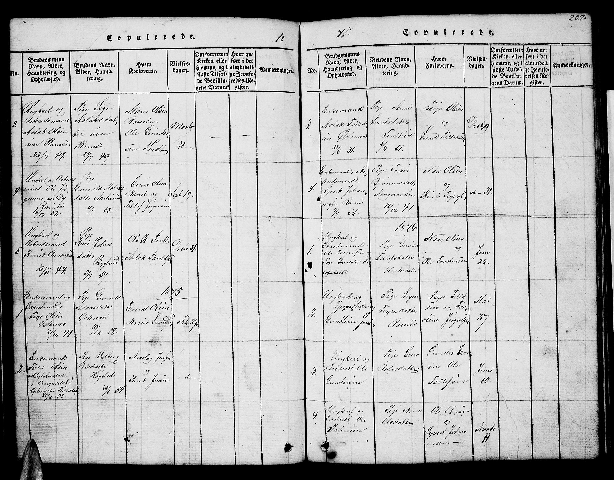 Åmli sokneprestkontor, SAK/1111-0050/F/Fb/Fbb/L0001: Klokkerbok nr. B 1, 1816-1889, s. 207