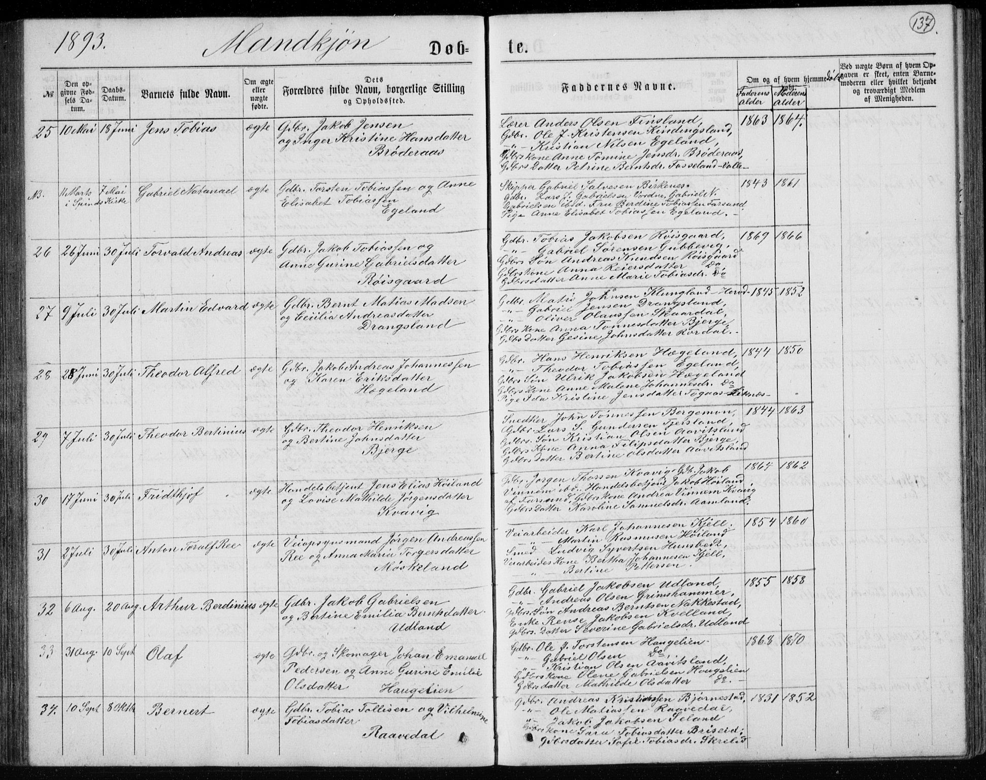 Lyngdal sokneprestkontor, AV/SAK-1111-0029/F/Fb/Fbc/L0004: Klokkerbok nr. B 4, 1878-1896, s. 137