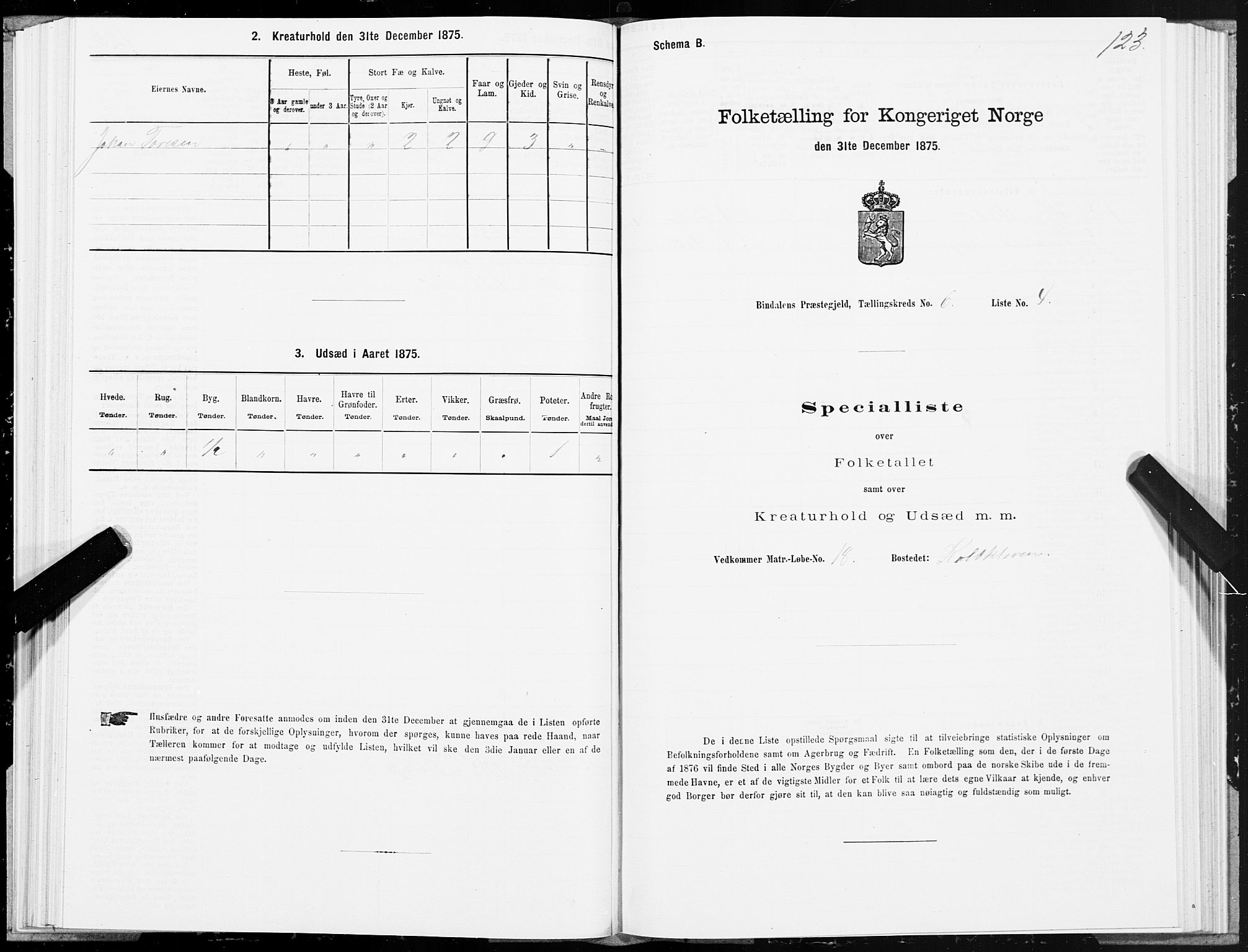 SAT, Folketelling 1875 for 1811P Bindal prestegjeld, 1875, s. 2123