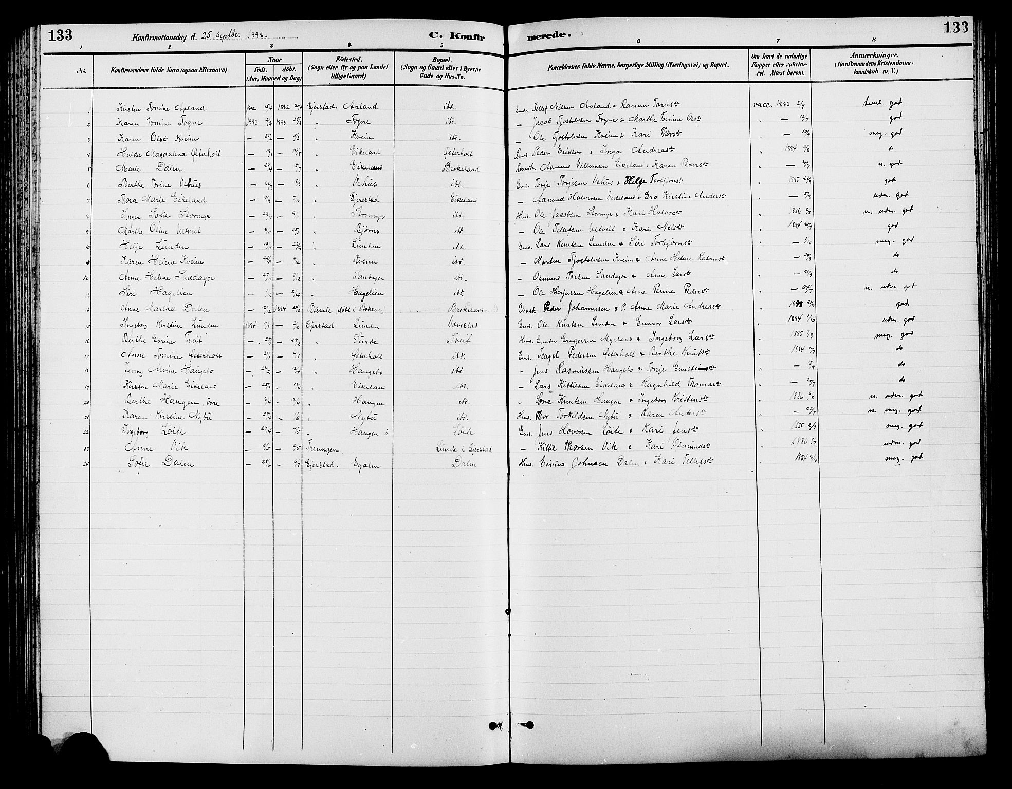 Gjerstad sokneprestkontor, AV/SAK-1111-0014/F/Fb/Fba/L0007: Klokkerbok nr. B 7, 1891-1908, s. 133