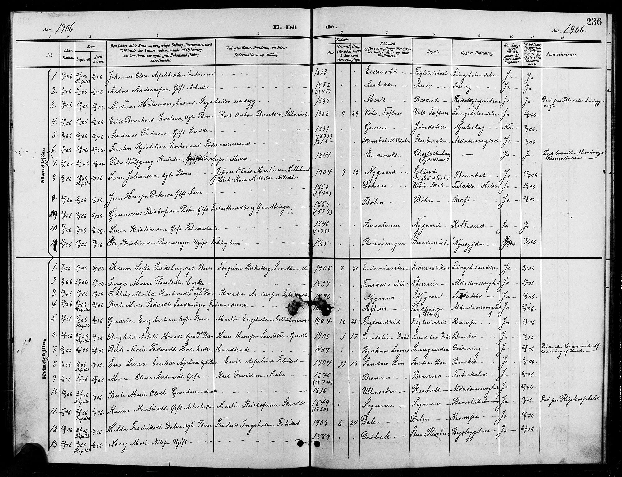 Eidsvoll prestekontor Kirkebøker, AV/SAO-A-10888/G/Ga/L0007: Klokkerbok nr. I 7, 1901-1909, s. 236