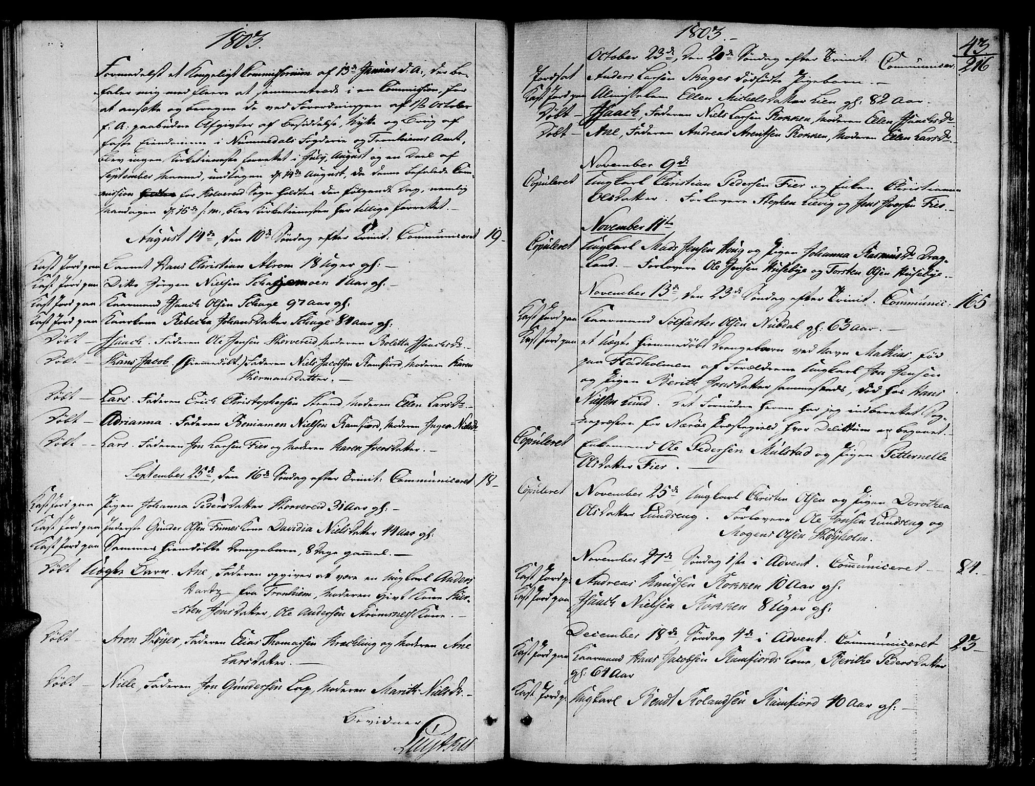 Ministerialprotokoller, klokkerbøker og fødselsregistre - Nord-Trøndelag, AV/SAT-A-1458/780/L0633: Ministerialbok nr. 780A02 /1, 1787-1814, s. 43