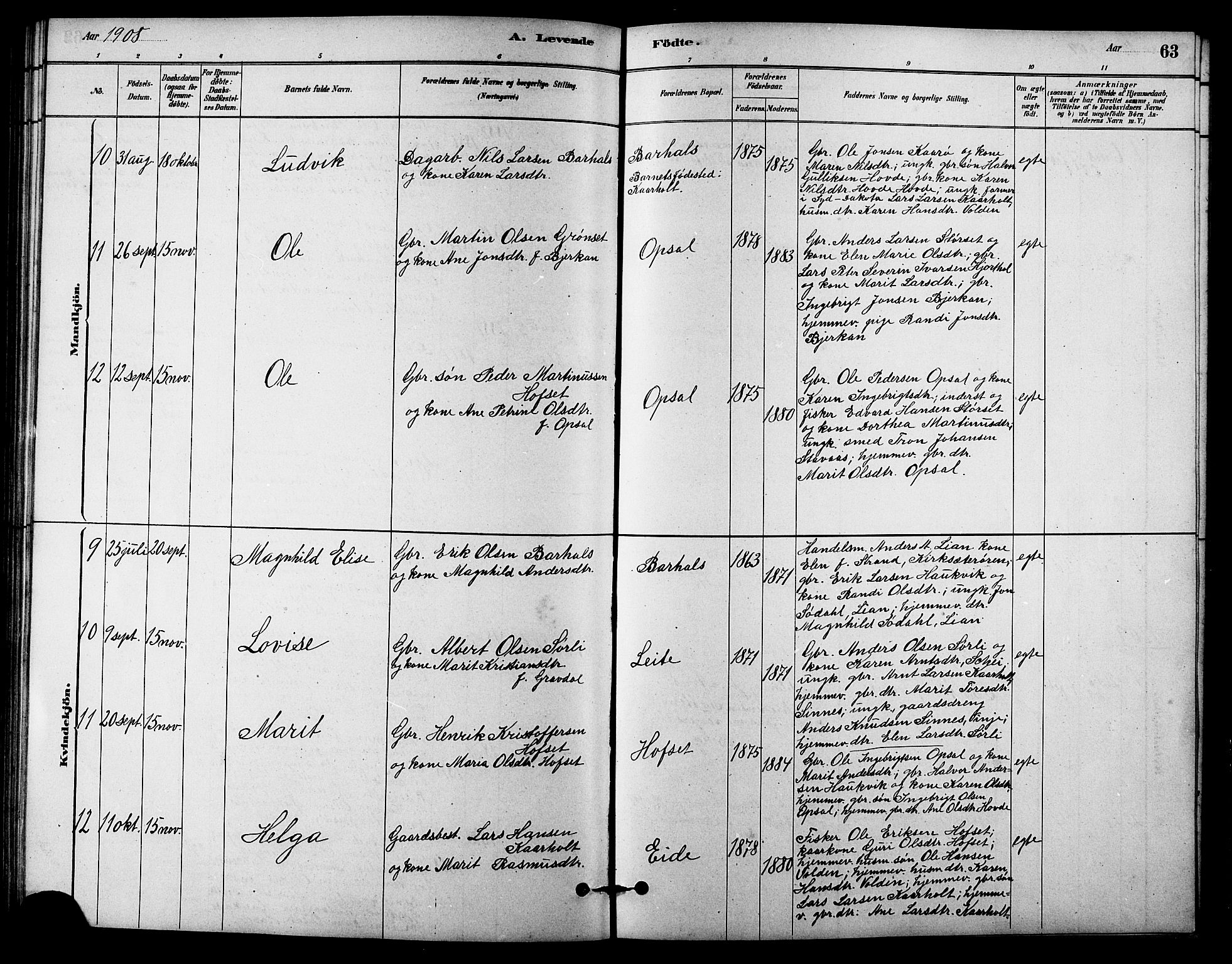 Ministerialprotokoller, klokkerbøker og fødselsregistre - Sør-Trøndelag, SAT/A-1456/631/L0514: Klokkerbok nr. 631C02, 1879-1912, s. 63