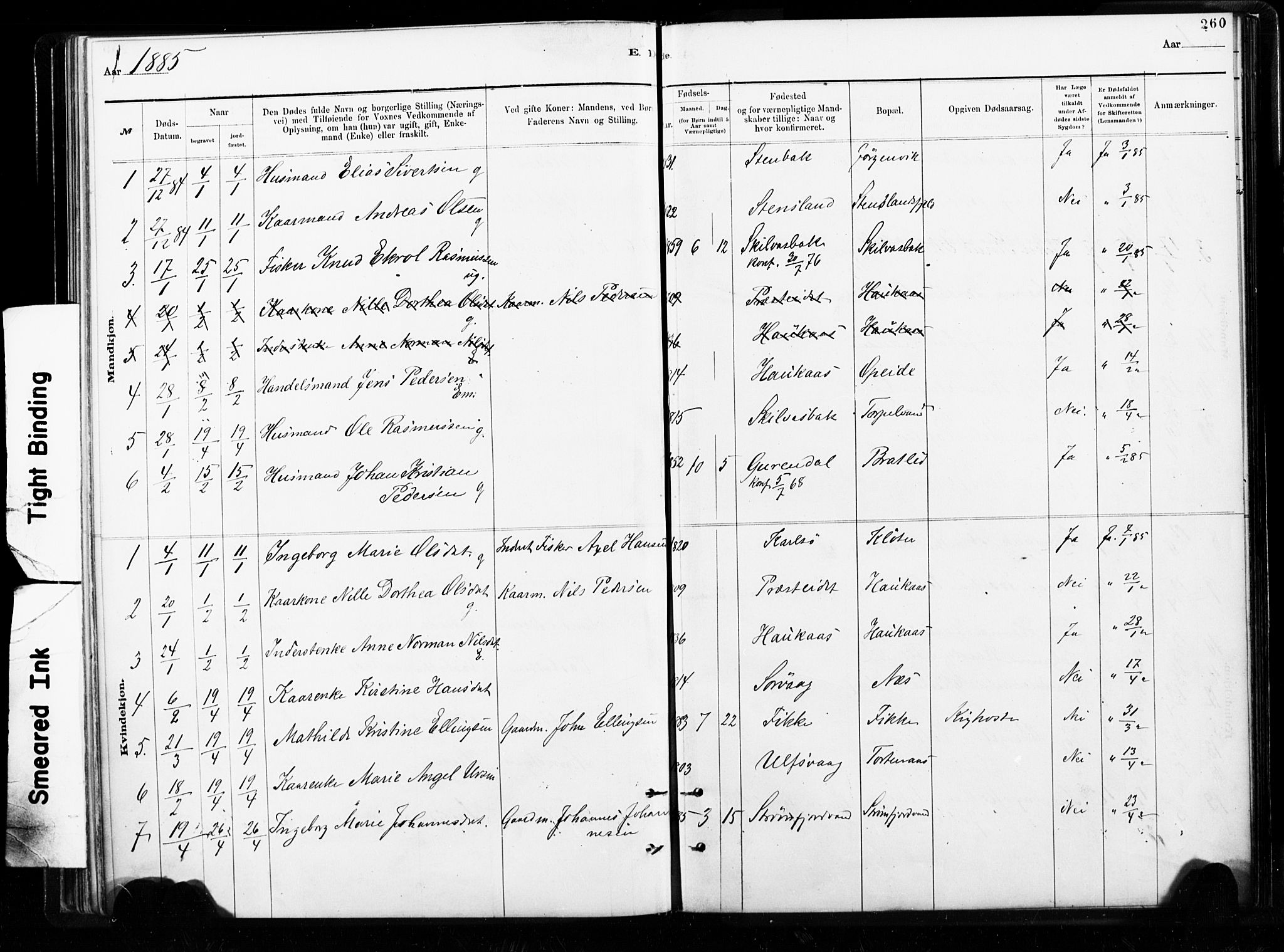 Ministerialprotokoller, klokkerbøker og fødselsregistre - Nordland, AV/SAT-A-1459/859/L0846: Ministerialbok nr. 859A06, 1878-1889, s. 260