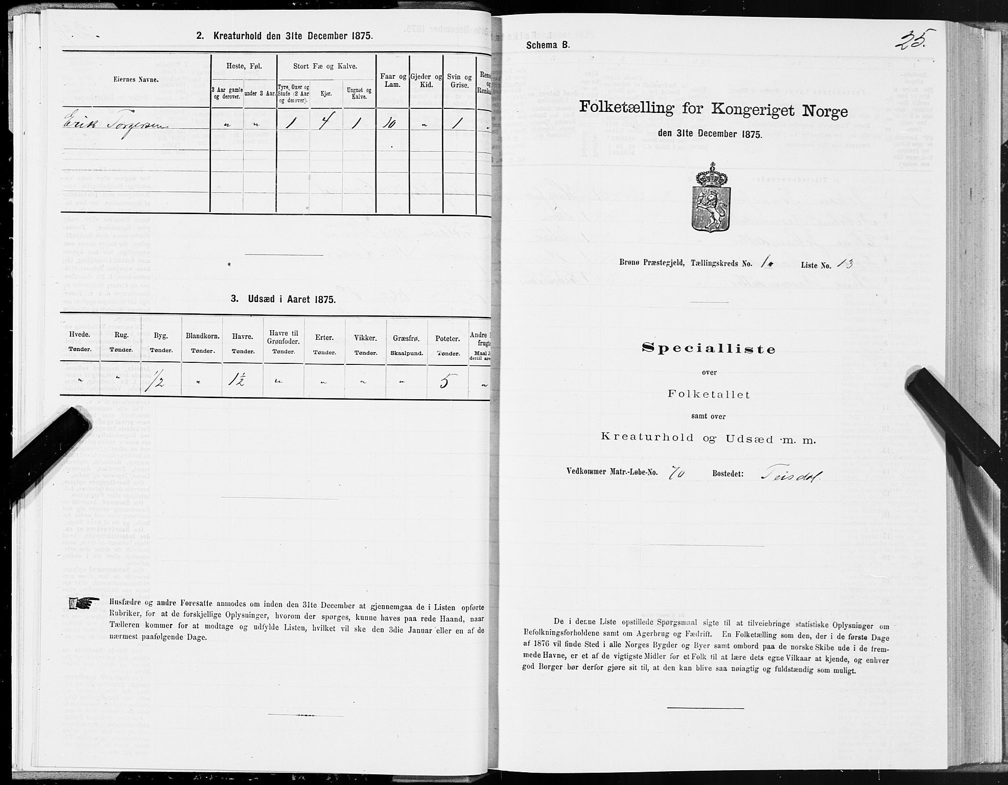 SAT, Folketelling 1875 for 1814P Brønnøy prestegjeld, 1875, s. 1025
